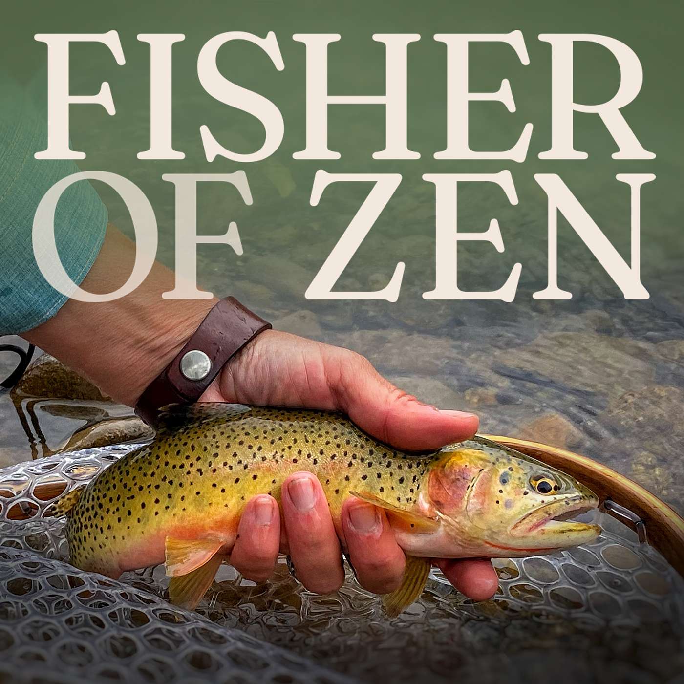 RIO PEQUEÑO: The Headiness of Fly Fishing Headwaters