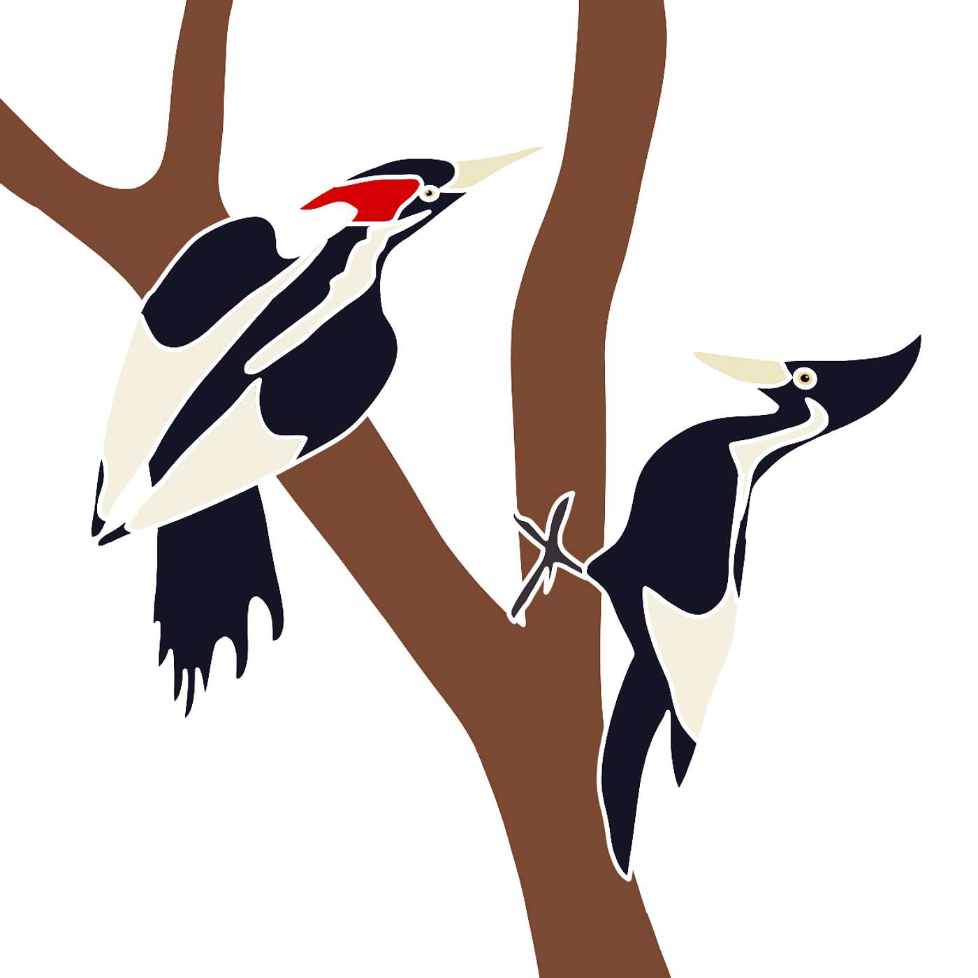 The Ivory-billed Woodpecker episode artwork