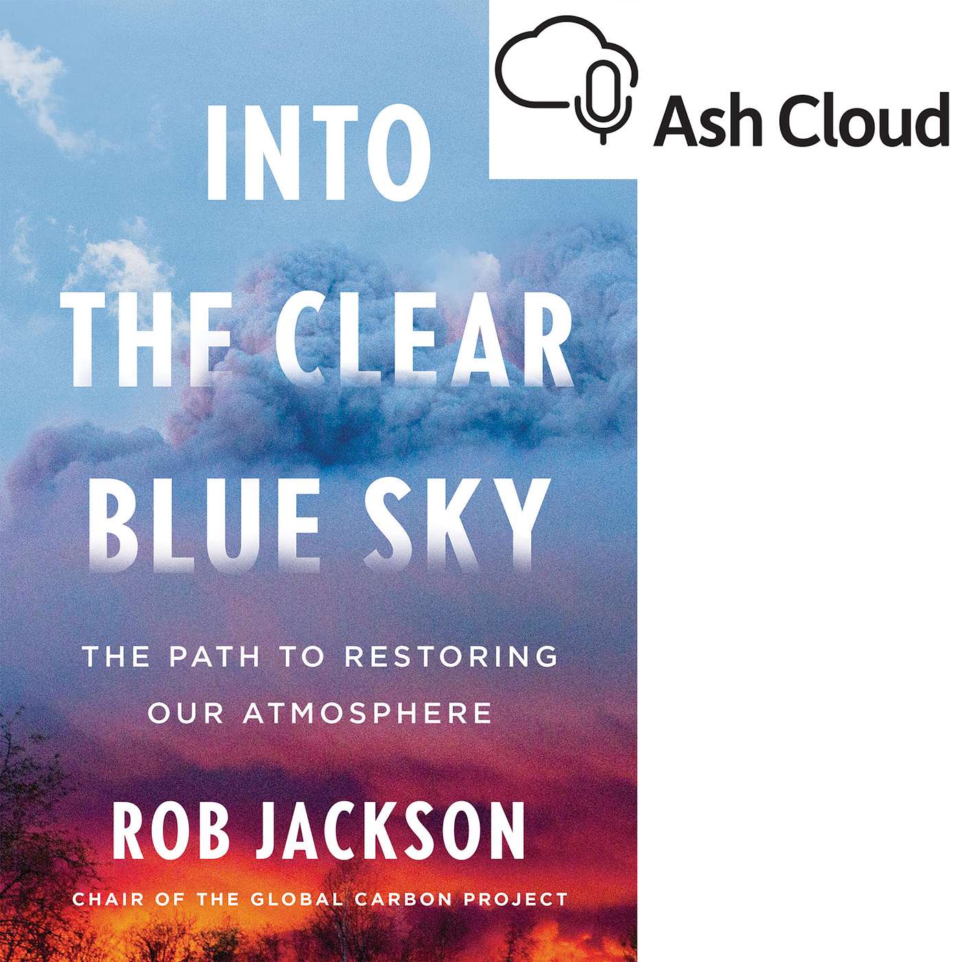 Into the clear blue sky, the path to restoring our climate with Rob Jackson Stanford University