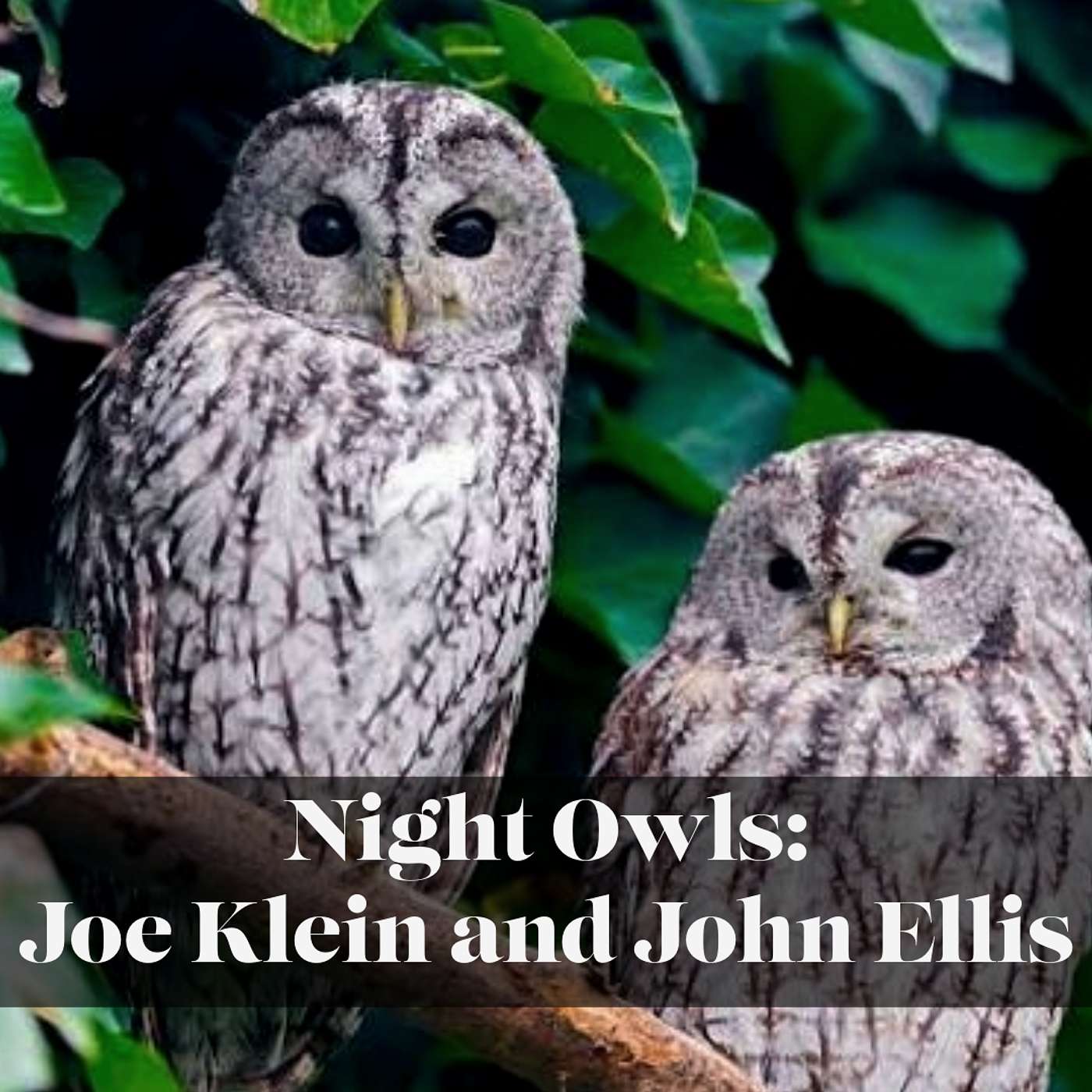 Night Owls