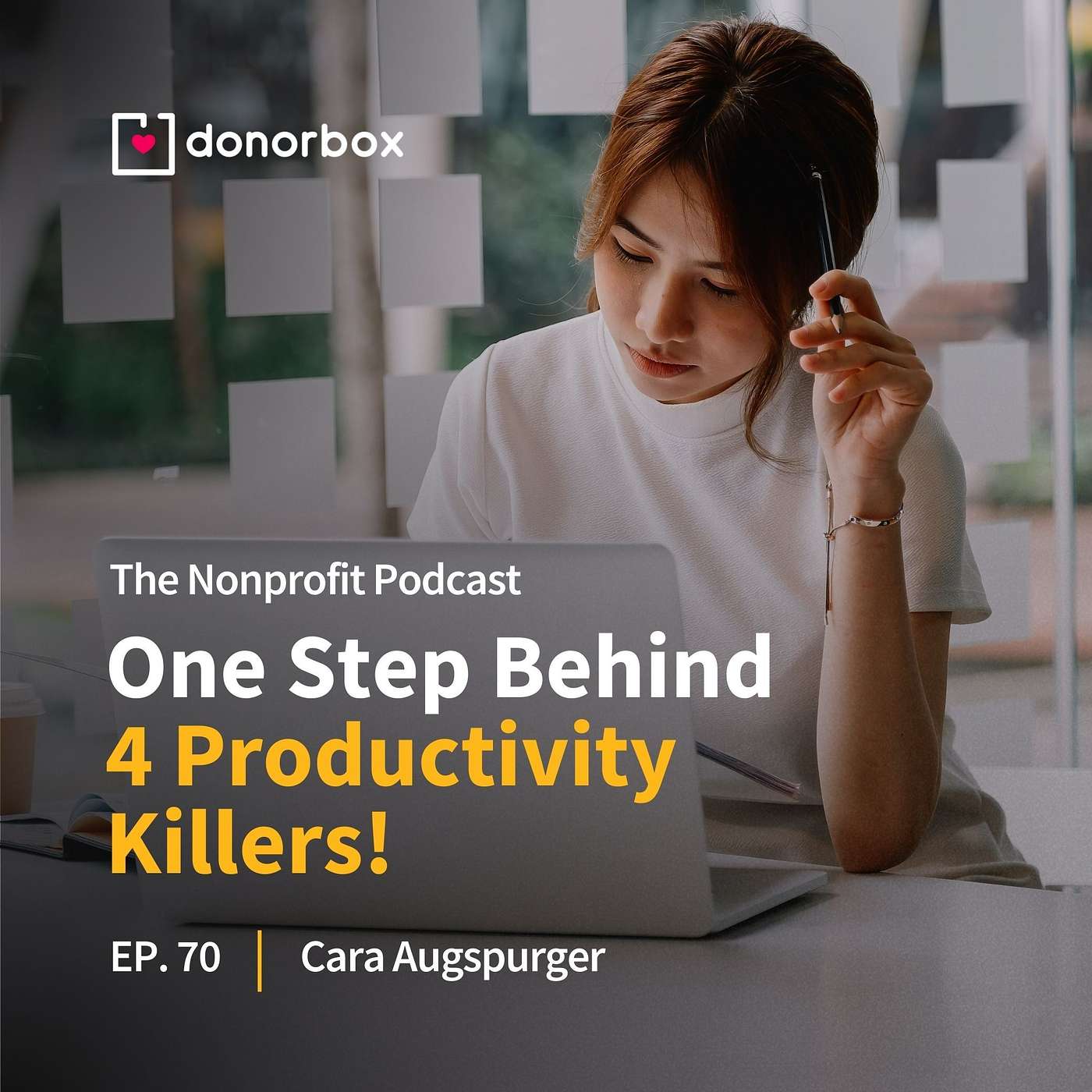 The Nonprofit Podcast