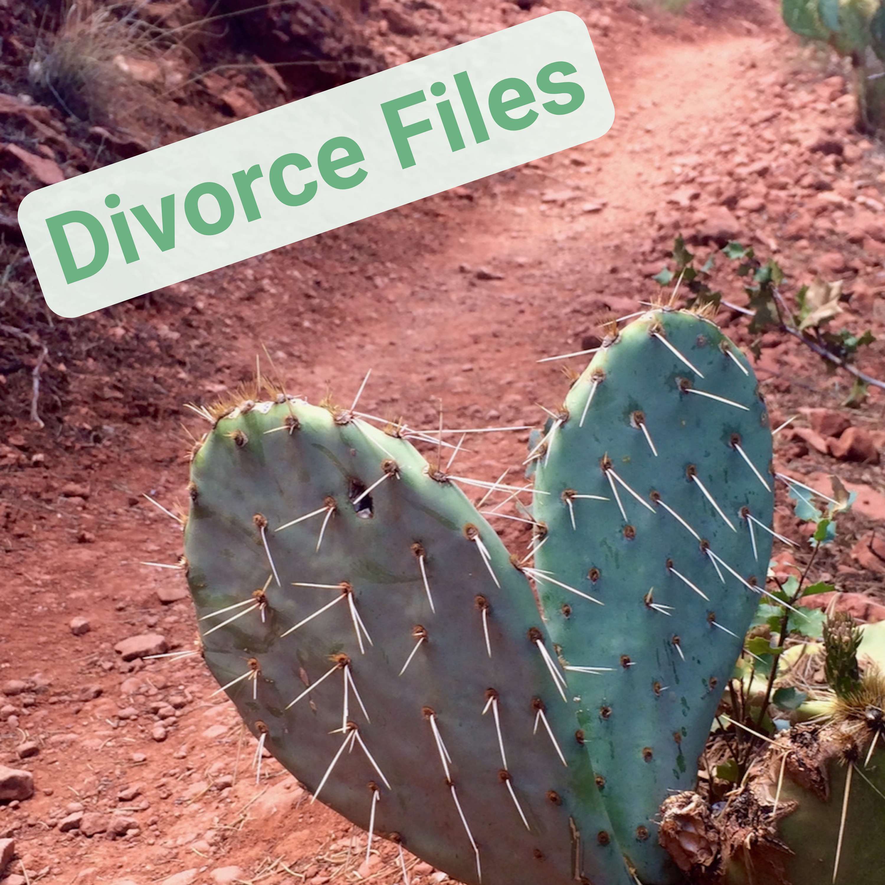 Divorce Files