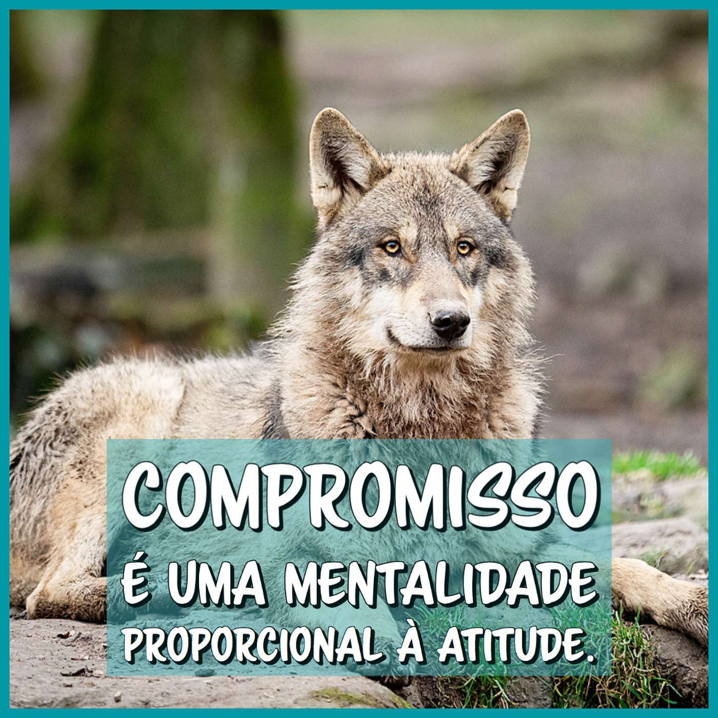 Compromisso, determinação e disciplina na vida e no trabalho com cães.
