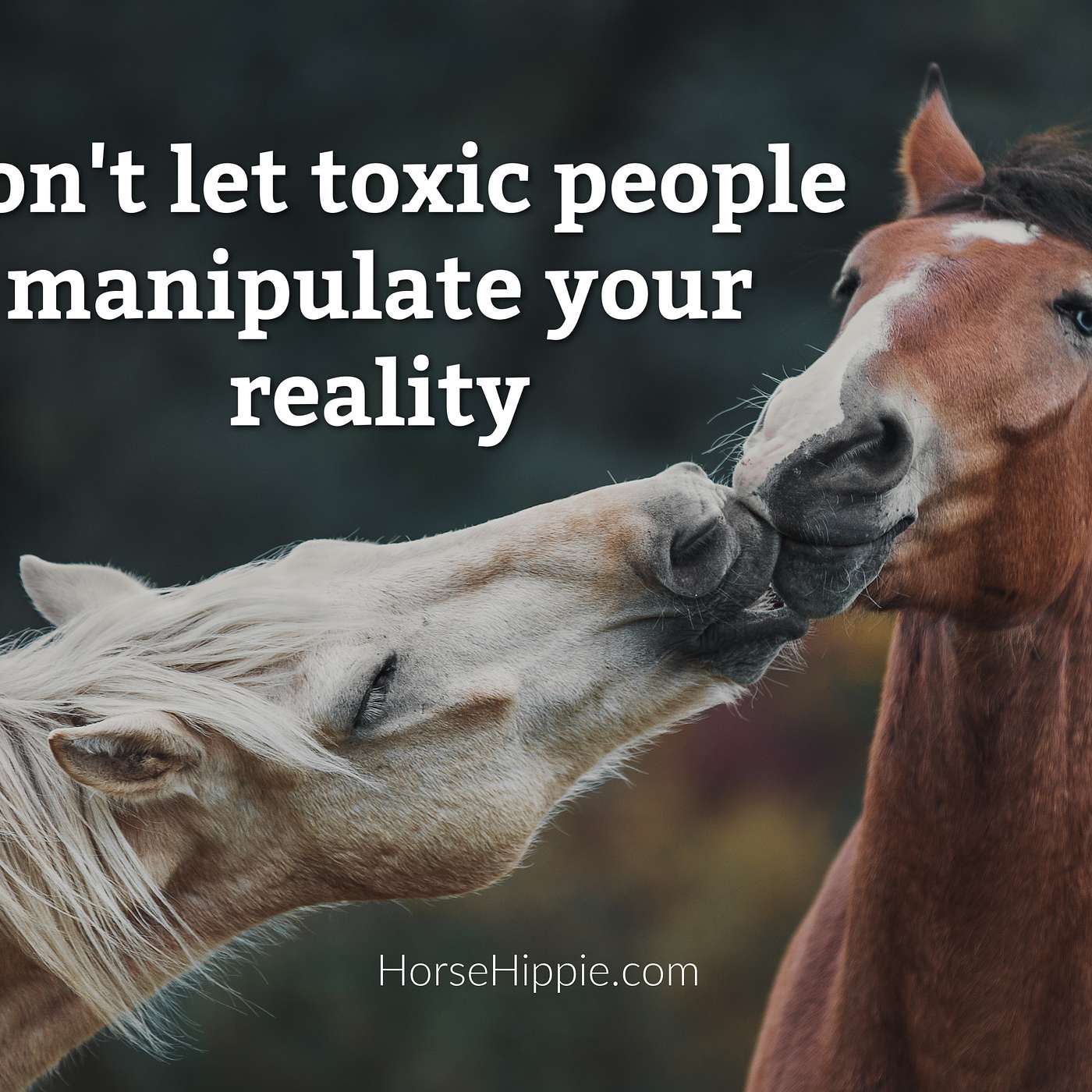 No Gaslighting Allowed