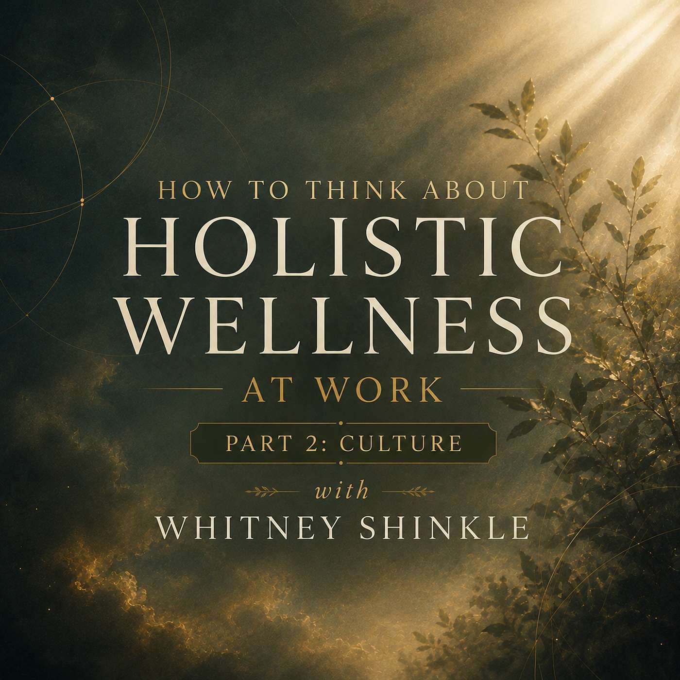 How to Think about Holistic Wellness at Work - Part 2 Culture | Whitney Shinkle episode artwork