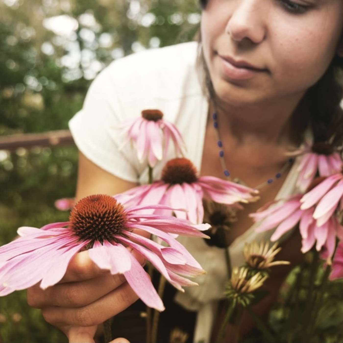 Plant connection, dream work & healing with plant medicine with Celine - La Artemisia