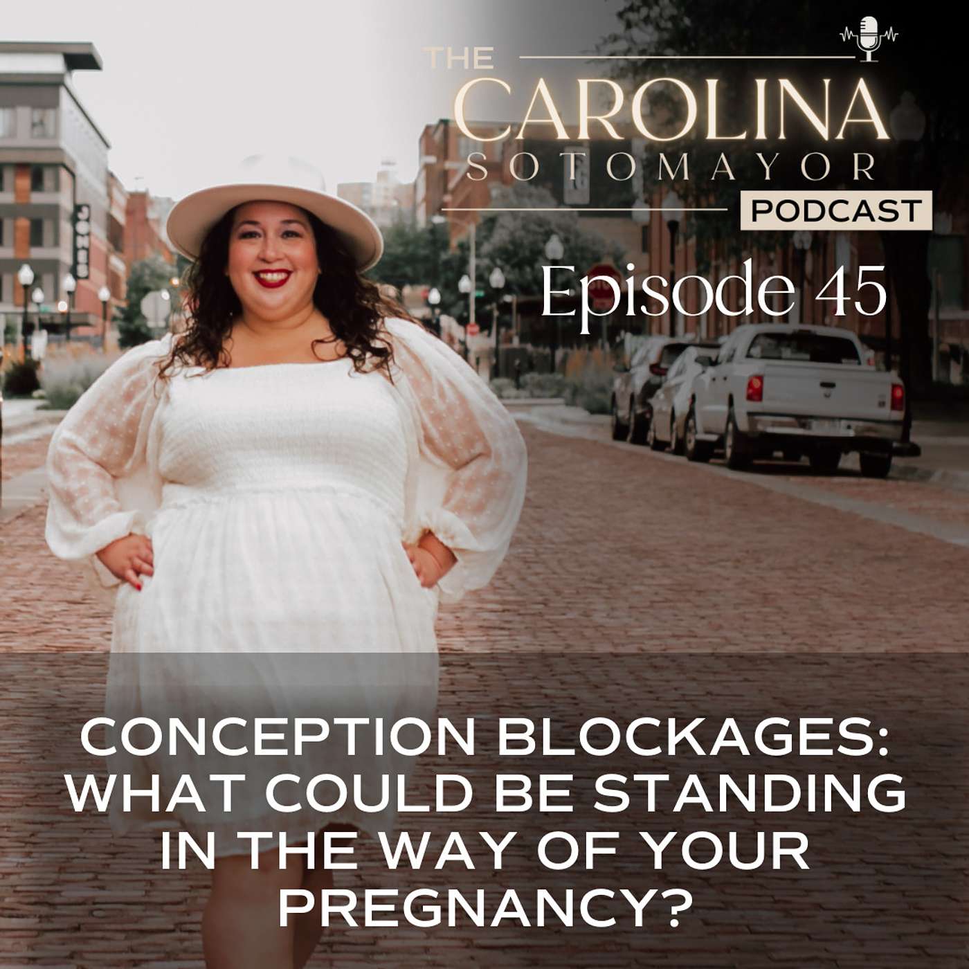 The Make A Baby Podcast