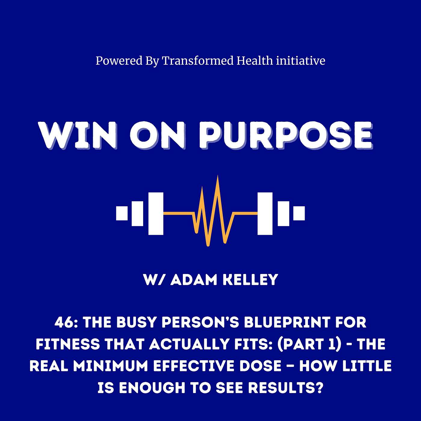 46: The Busy Person’s Blueprint for Fitness That Actually Fits: (Part 1) - The Real Minimum Effective Dose — How Little is Enough to See Results? 46: The Busy Person’s Blueprint for Fitness That Actually Fits: (Part 1) - The Real Minimum Effective Dose — How Little is Enough to See Results?