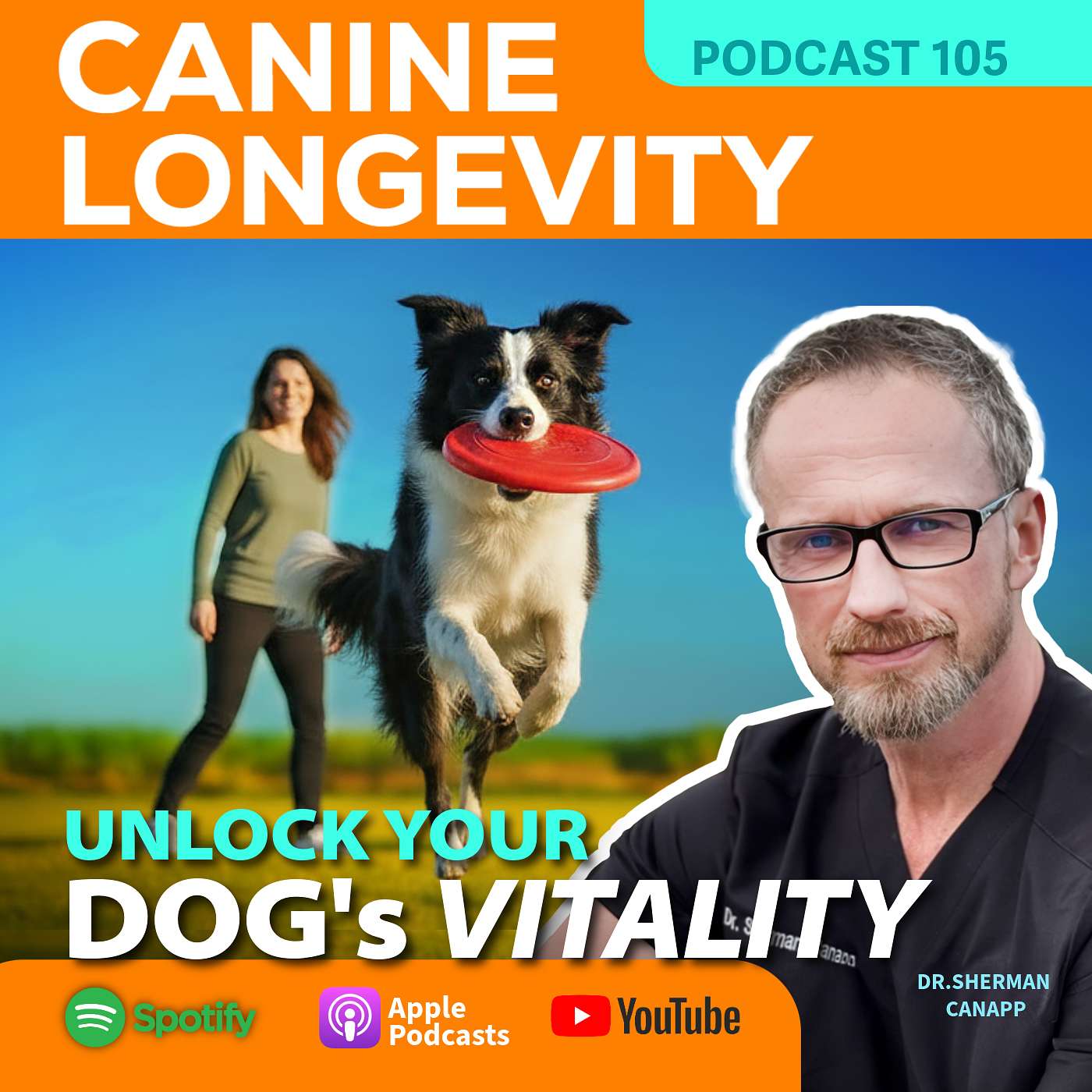 Unlock Your Dog's Vitality