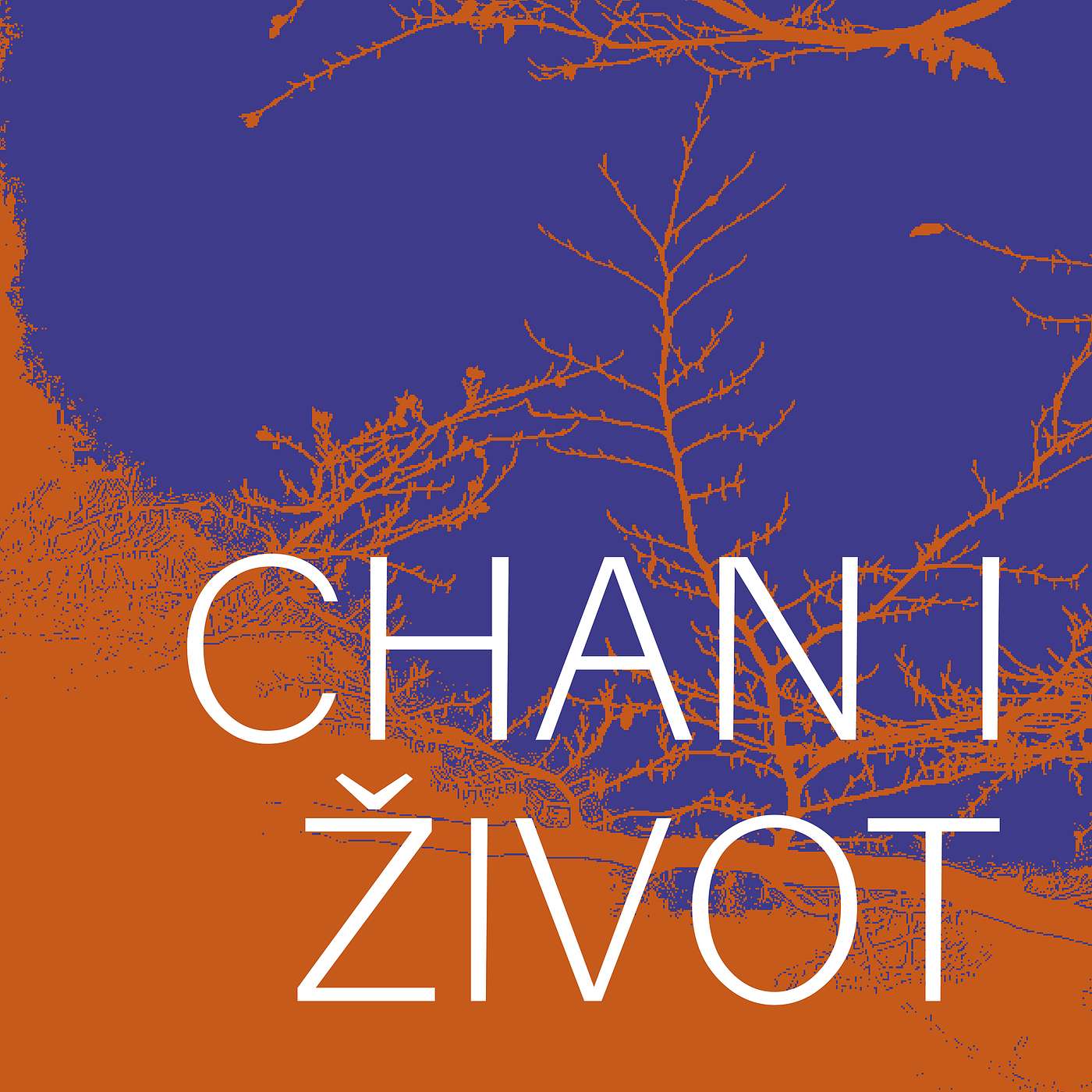 Mudrost chana