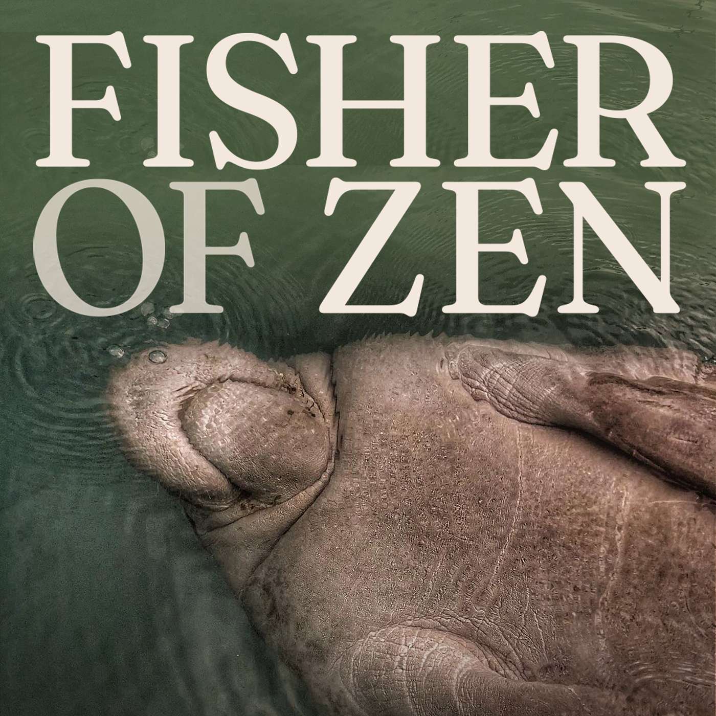 Fisher Of Zen - You, Me, and a Manatee