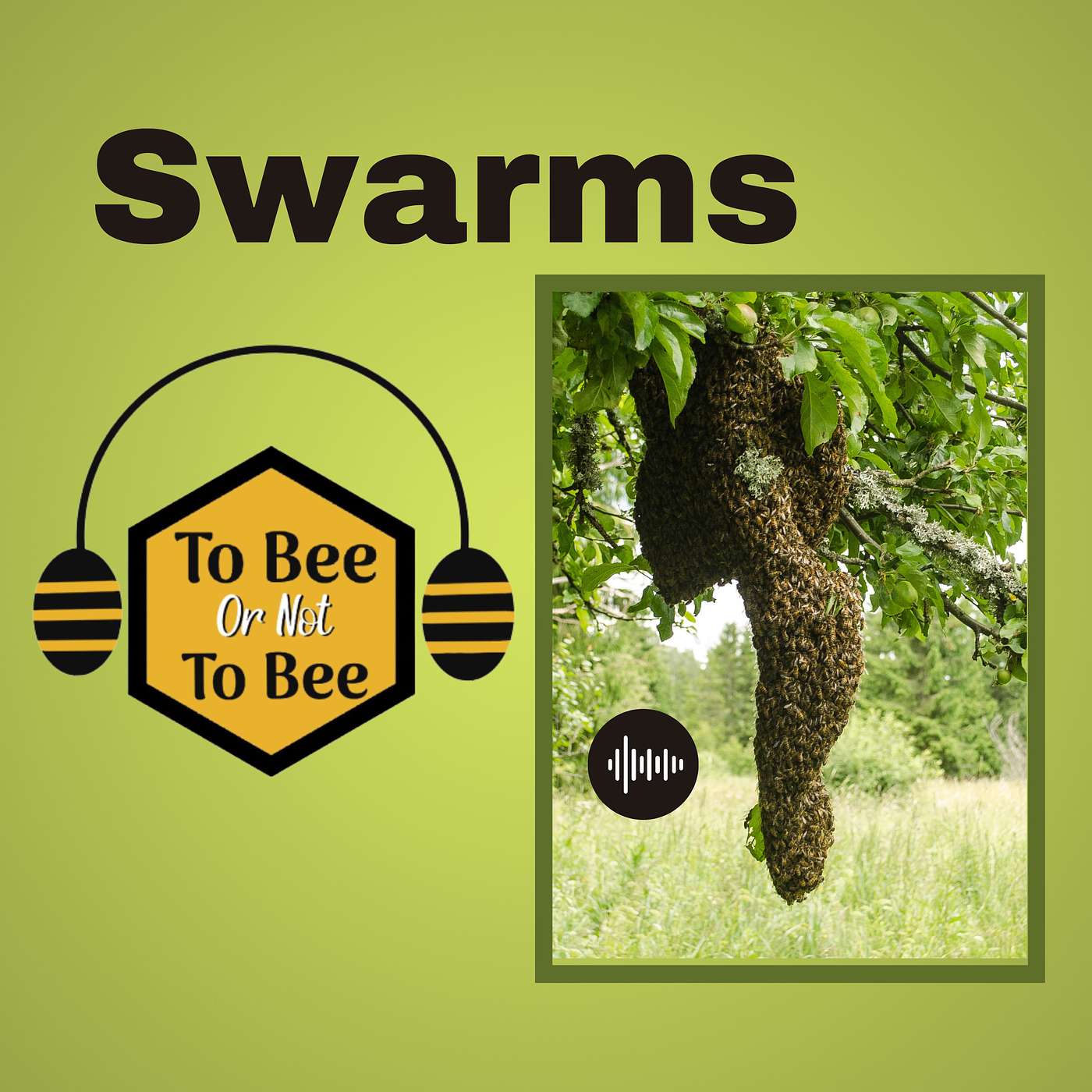 Season of a Swarm?