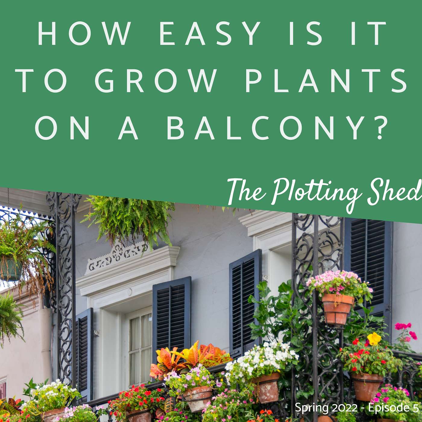 Top Tips to transform your balcony into the perfect aerial garden