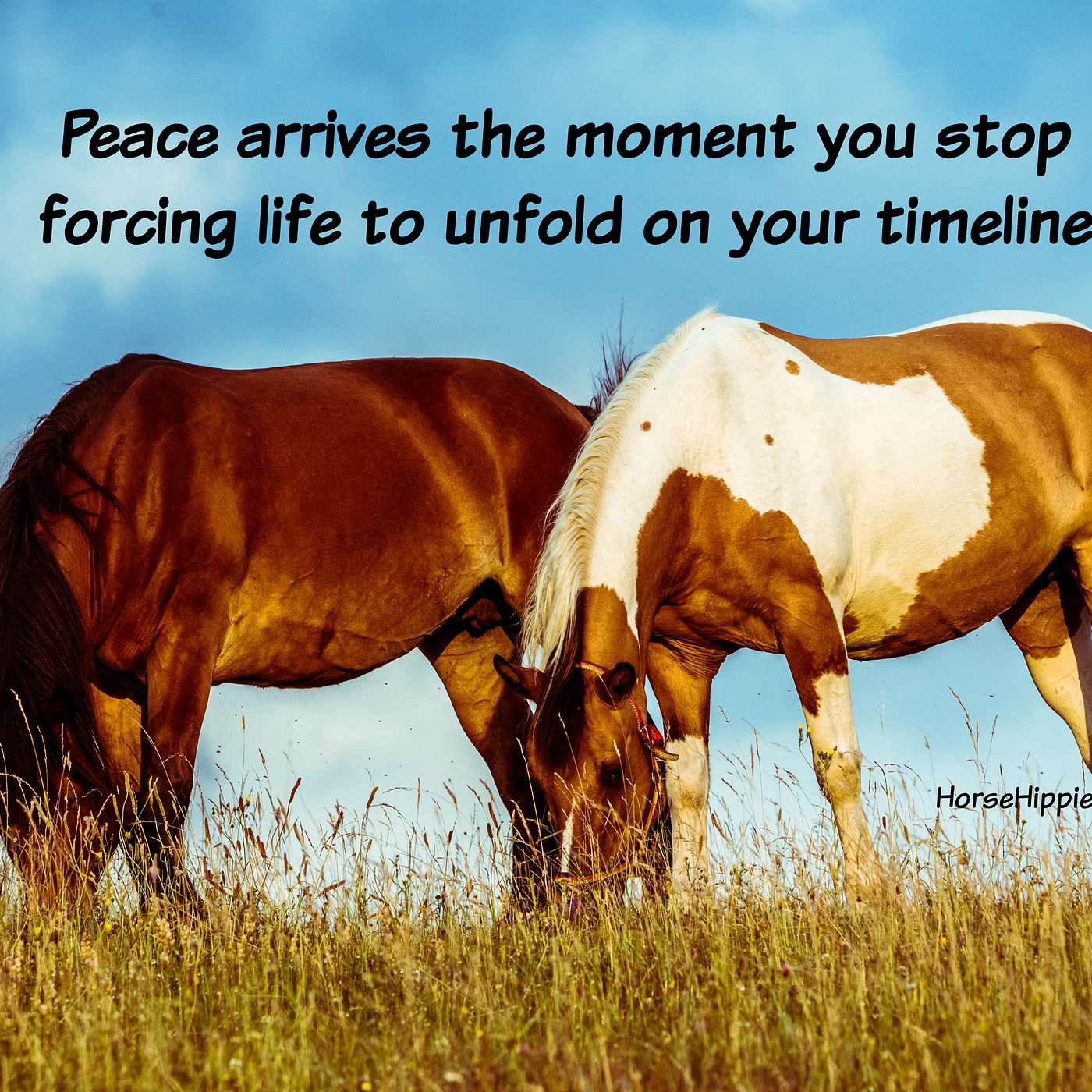 Stop Forcing
