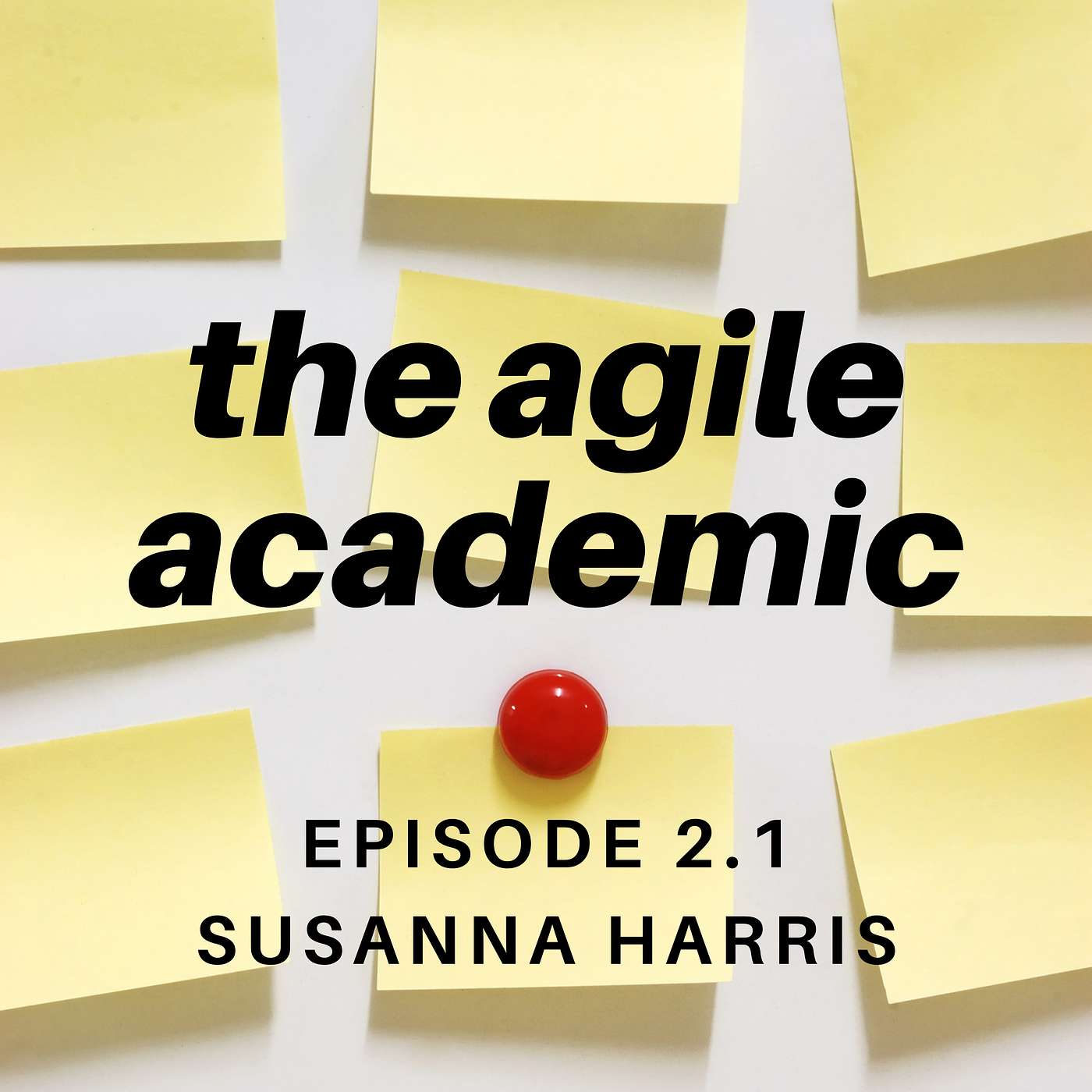 the agile academic