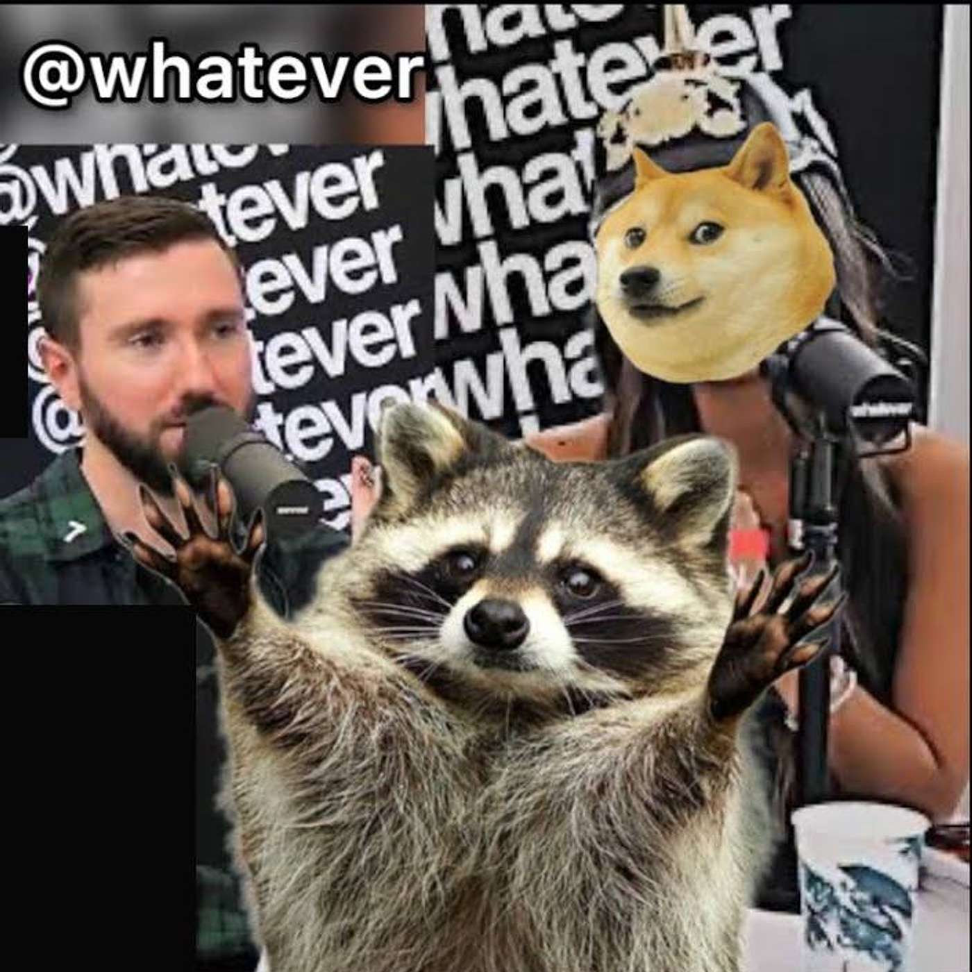 TROLL With TAXIDERMIED RACCOON Gets FRANK CASTLED @WhateverPodcast {Reaction} | Helios Blog 878