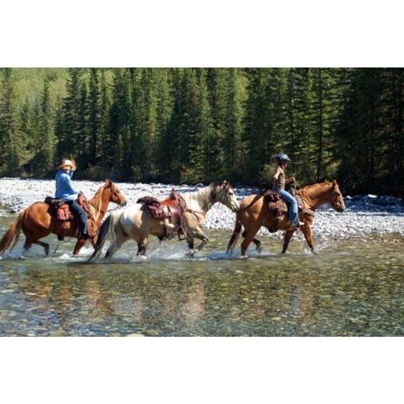 Equestrian Legacy Radio