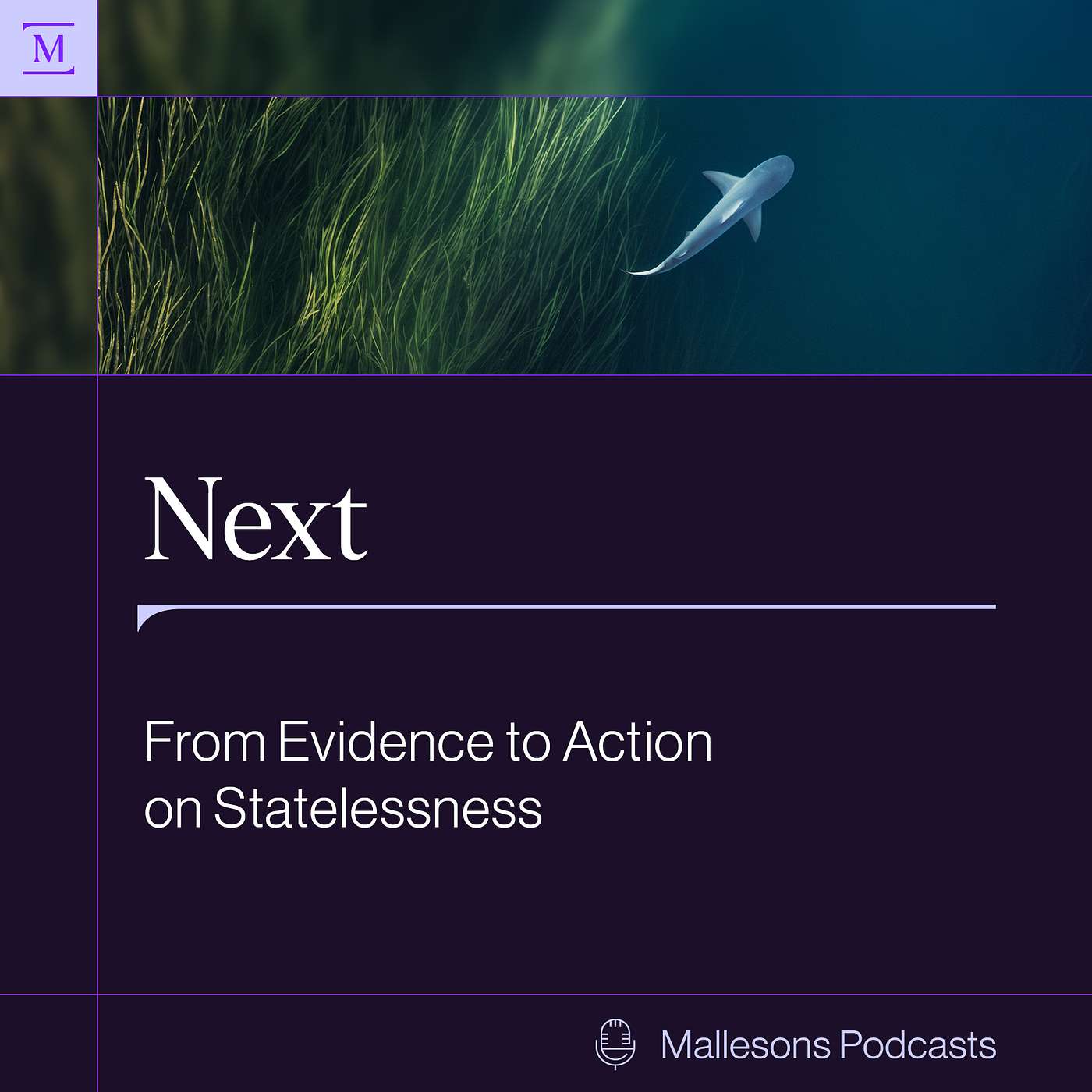 From Evidence to Action on Statelessness episode artwork