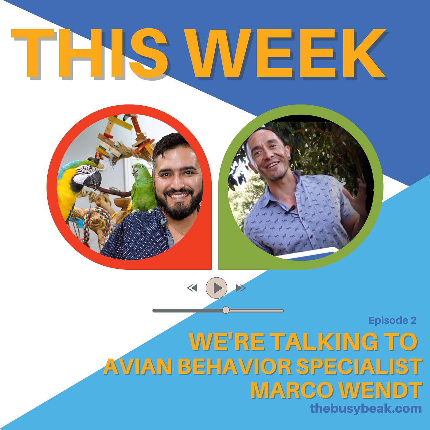 Ask the Parrot Expert: Exclusive Interview with Marco Wendt