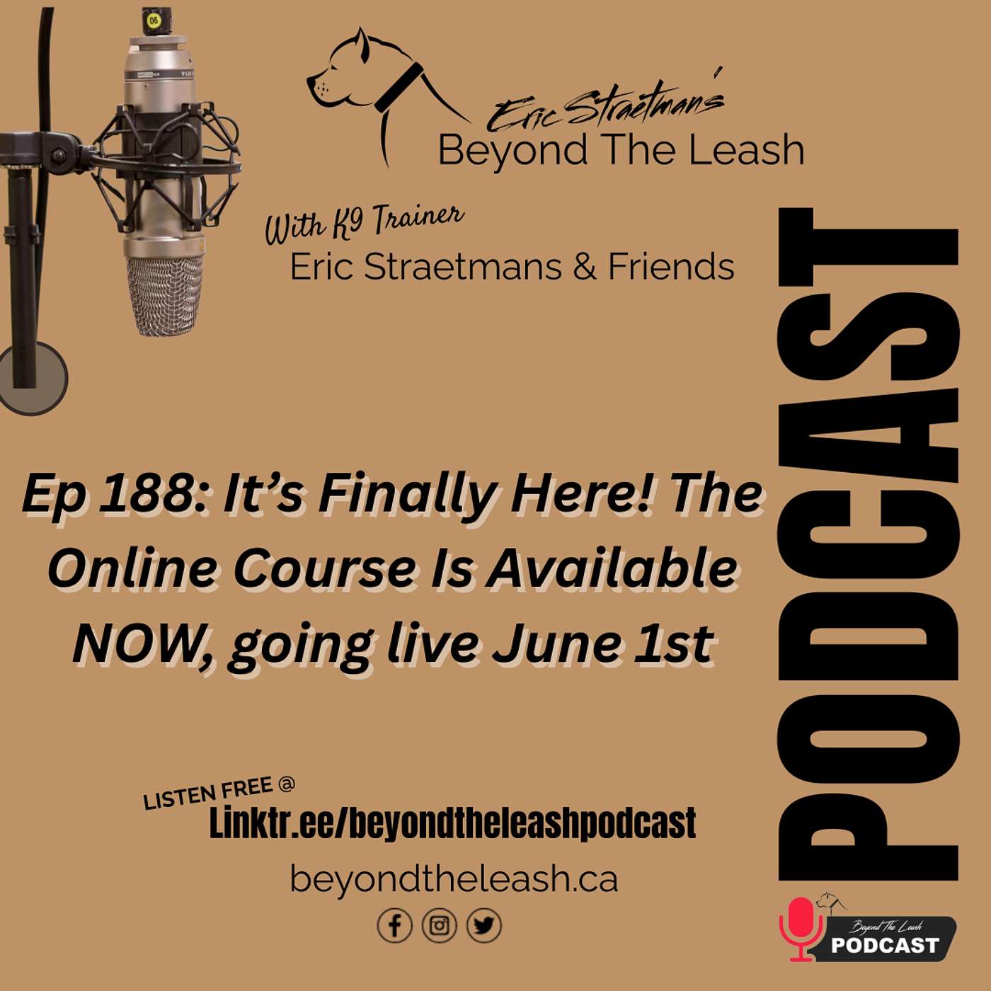 Ep 188: It's Finally Here! The online course is available NOW, going live June 1st