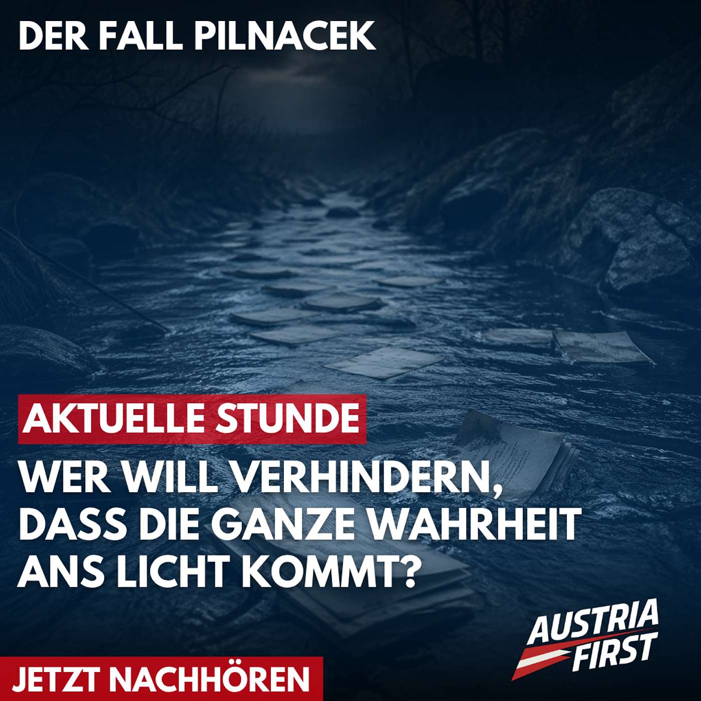 Pilnacek-Ausschuss: Vertuschung, manipulierte Laptops und teure Erinnerungslücken! – Aktuelle Stunde episode artwork