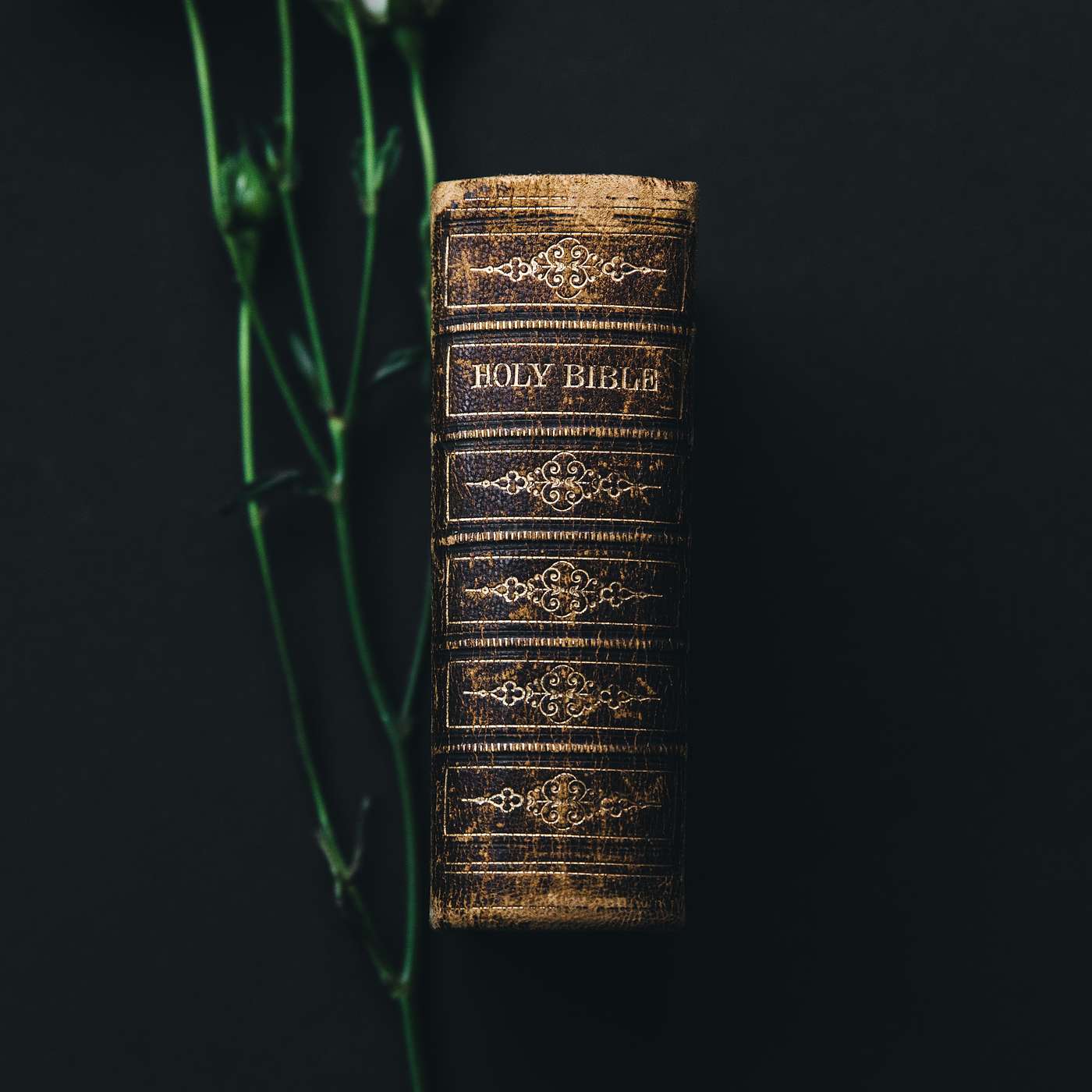Community Bible Fellowship