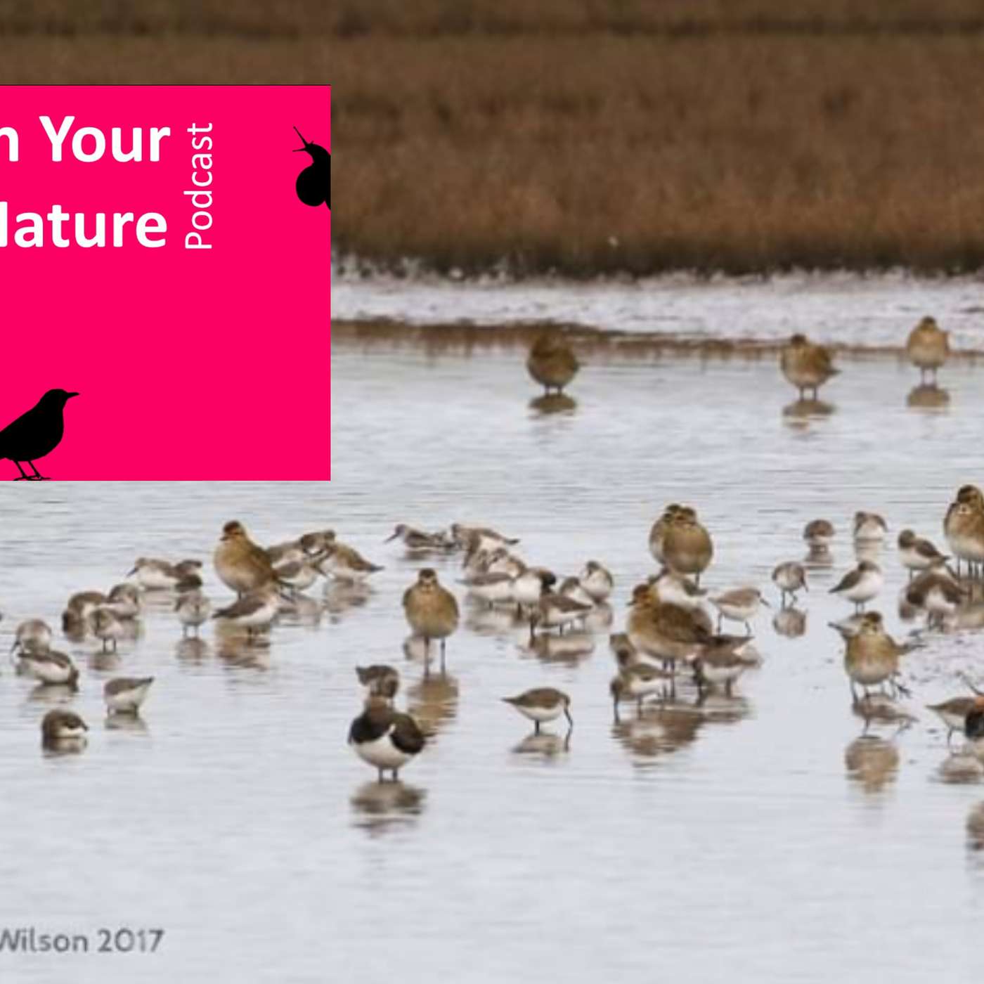 In Your Nature Ep 17 - Harpers Island