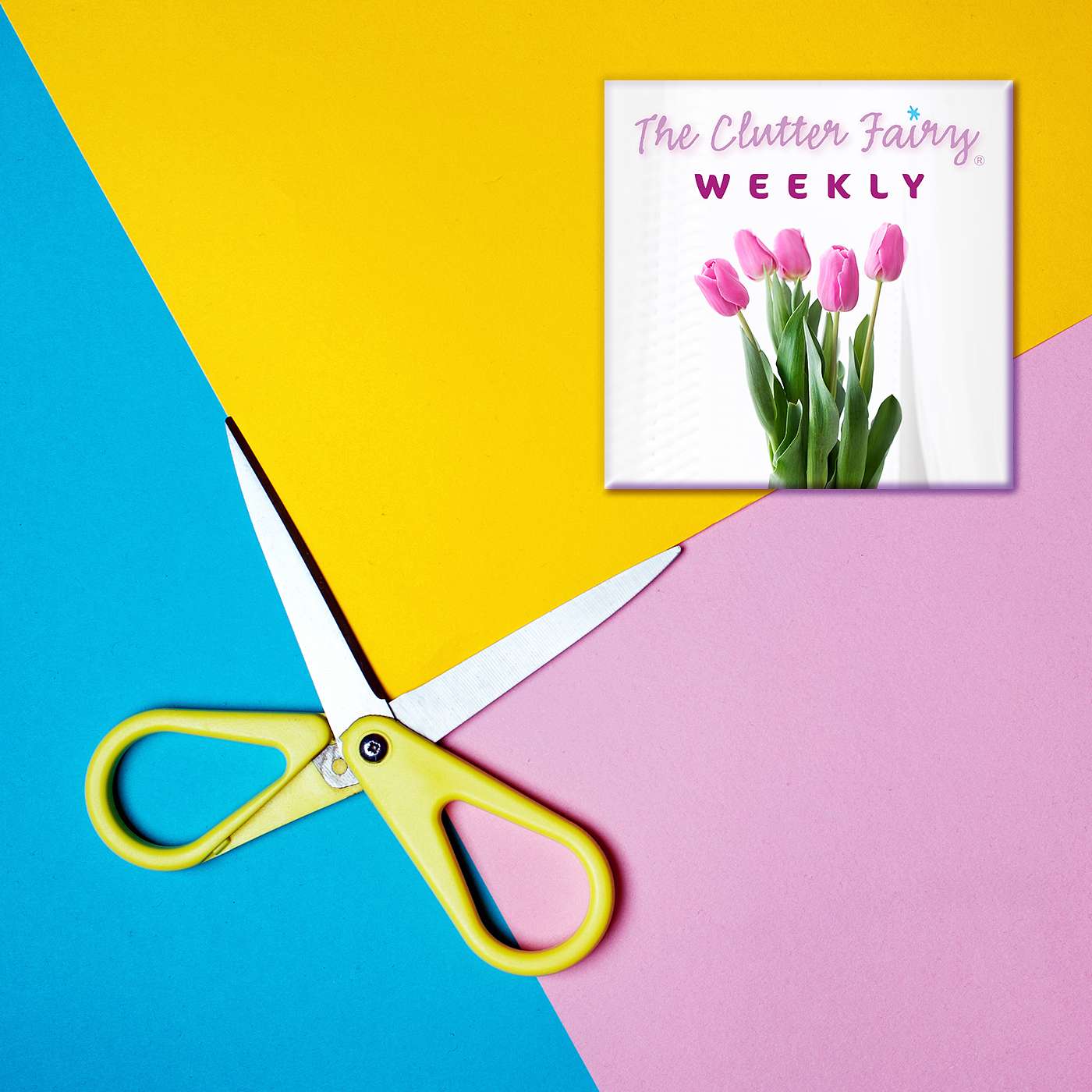 The Clutter Fairy Weekly #81 - Off to Work We Go! Assembling Your Organizing Toolkit