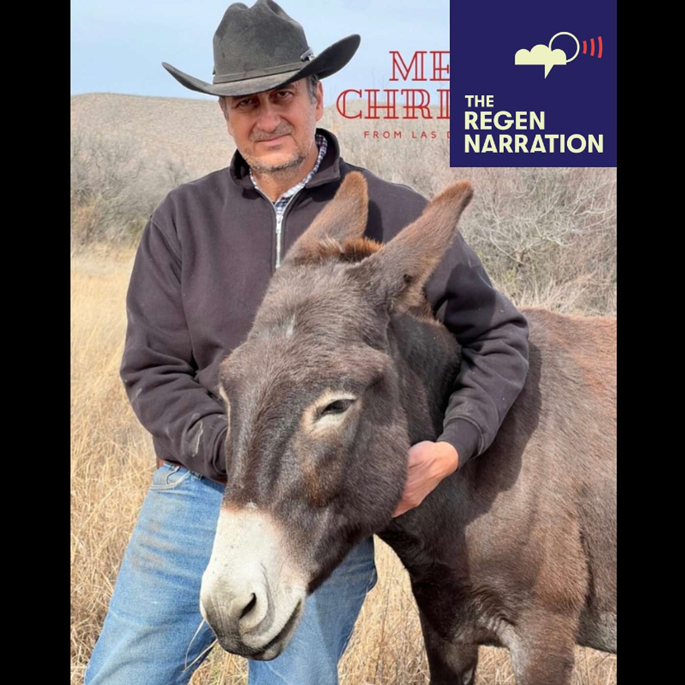 Donkeys, ‘A Secret Weapon’: And Alejandro Carrillo’s proposal for the WA government Donkeys, ‘A Secret Weapon’: And Alejandro Carrillo’s proposal for the WA government