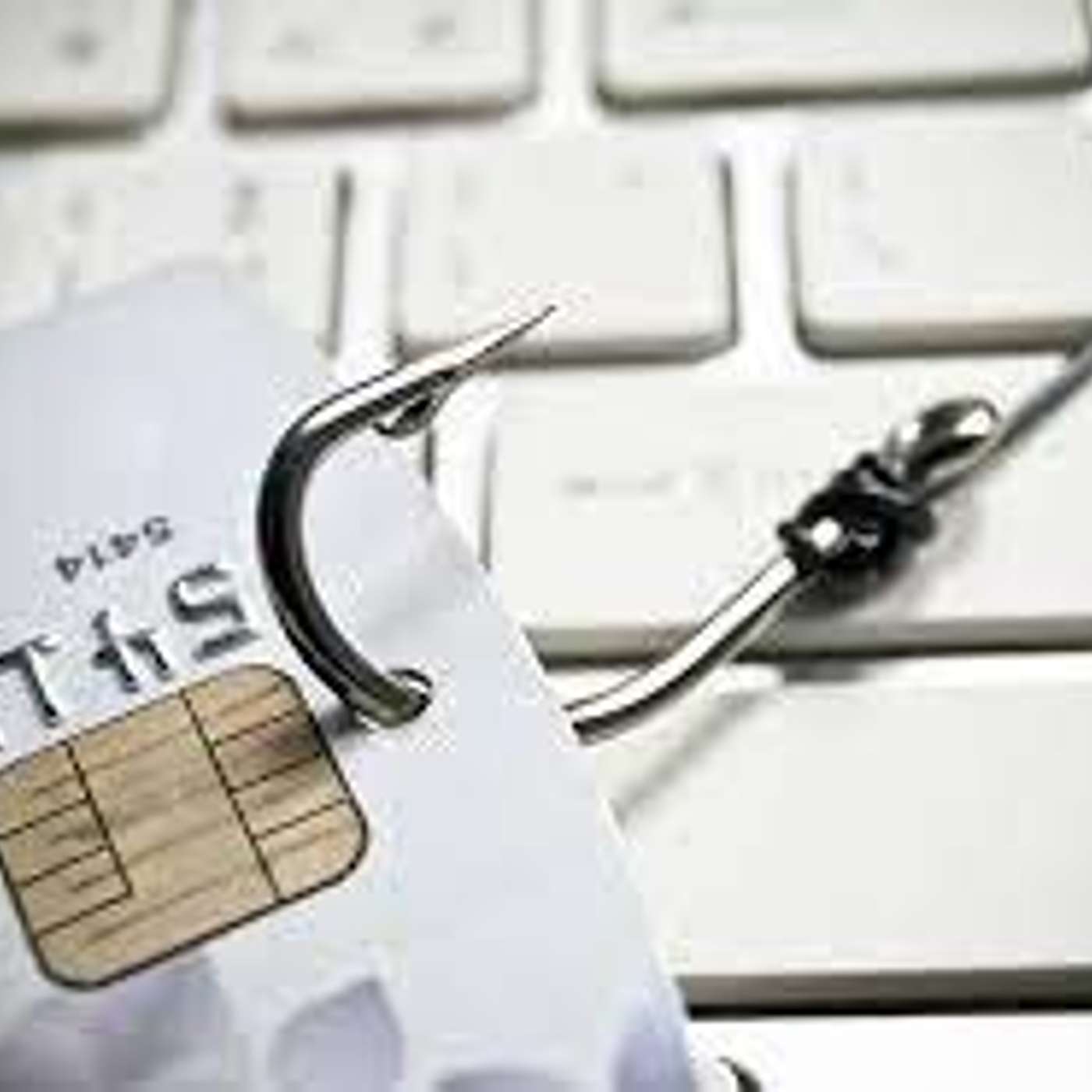 How to Avoid Online Phishing Attacks, Pt 2 (with our Expert)