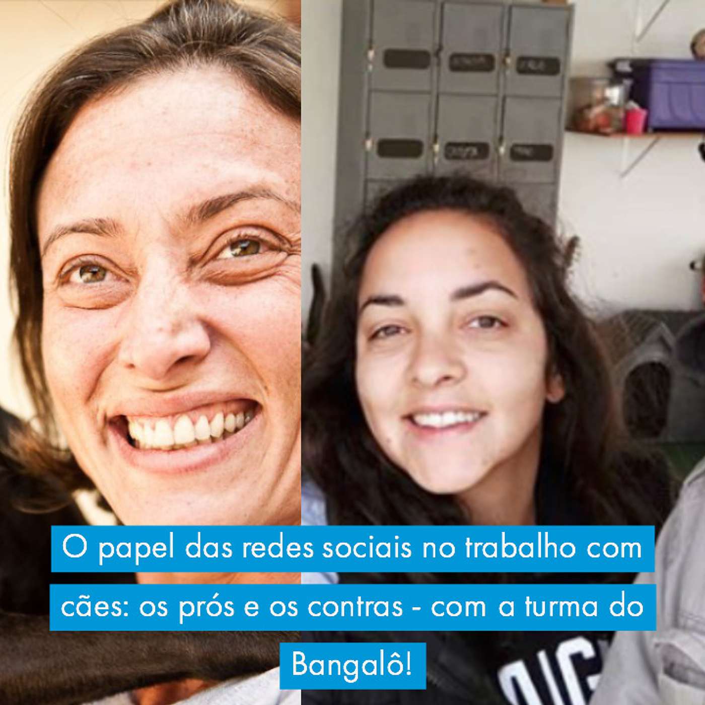 O papel das redes sociais no trabalho com cães: os prós e os contras - com a turma do Bangalô!
