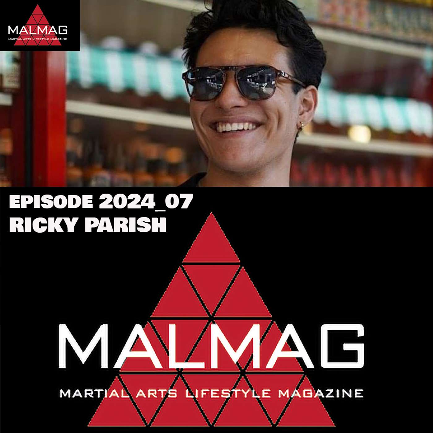The Martial Arts Lifestyle Podcast
