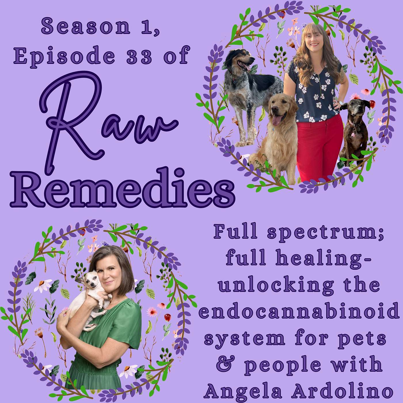 Full spectrum; full healing- unlocking the endocannabinoid system for pets & people with Angela Ardolino
