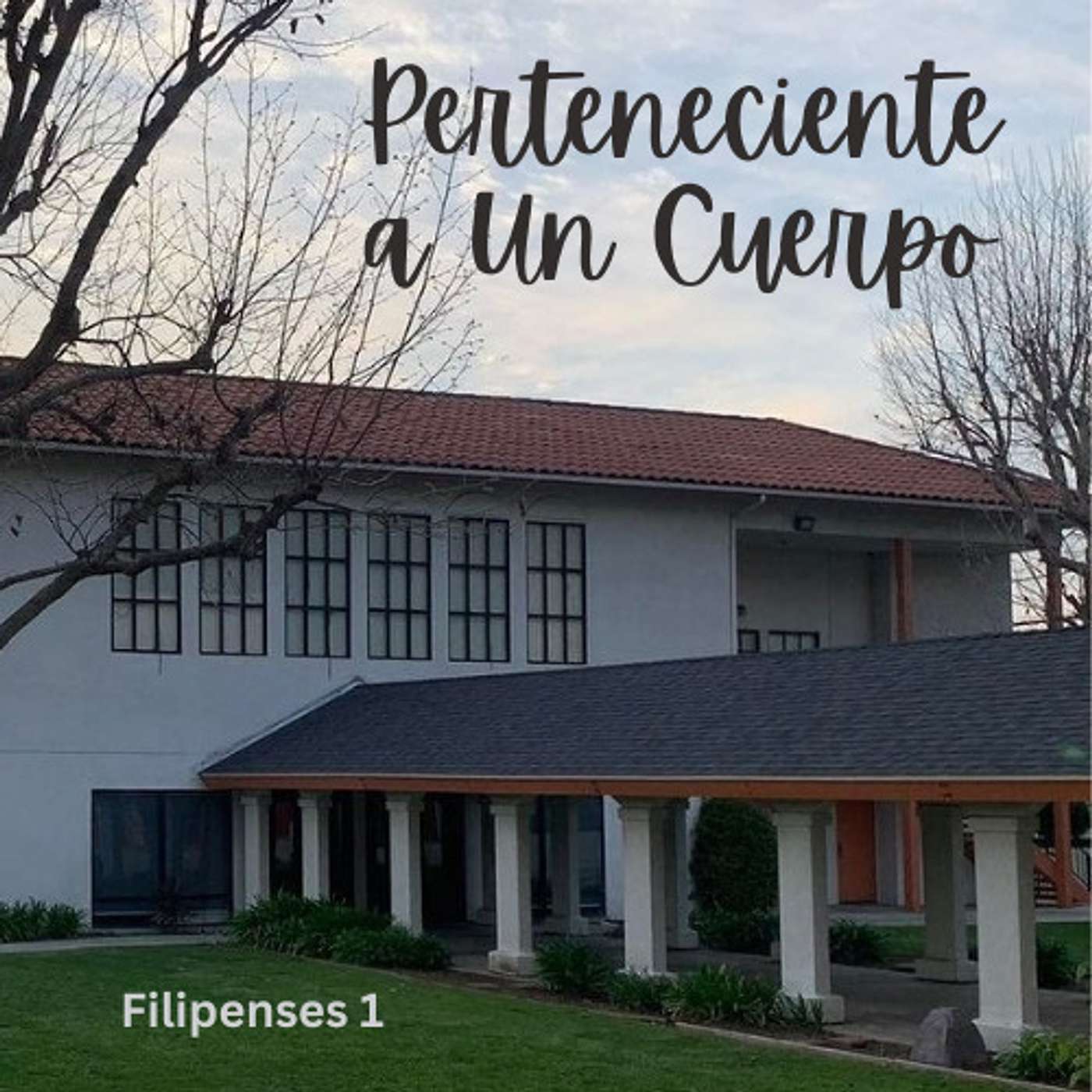 Perteneciente a un Cuerpo