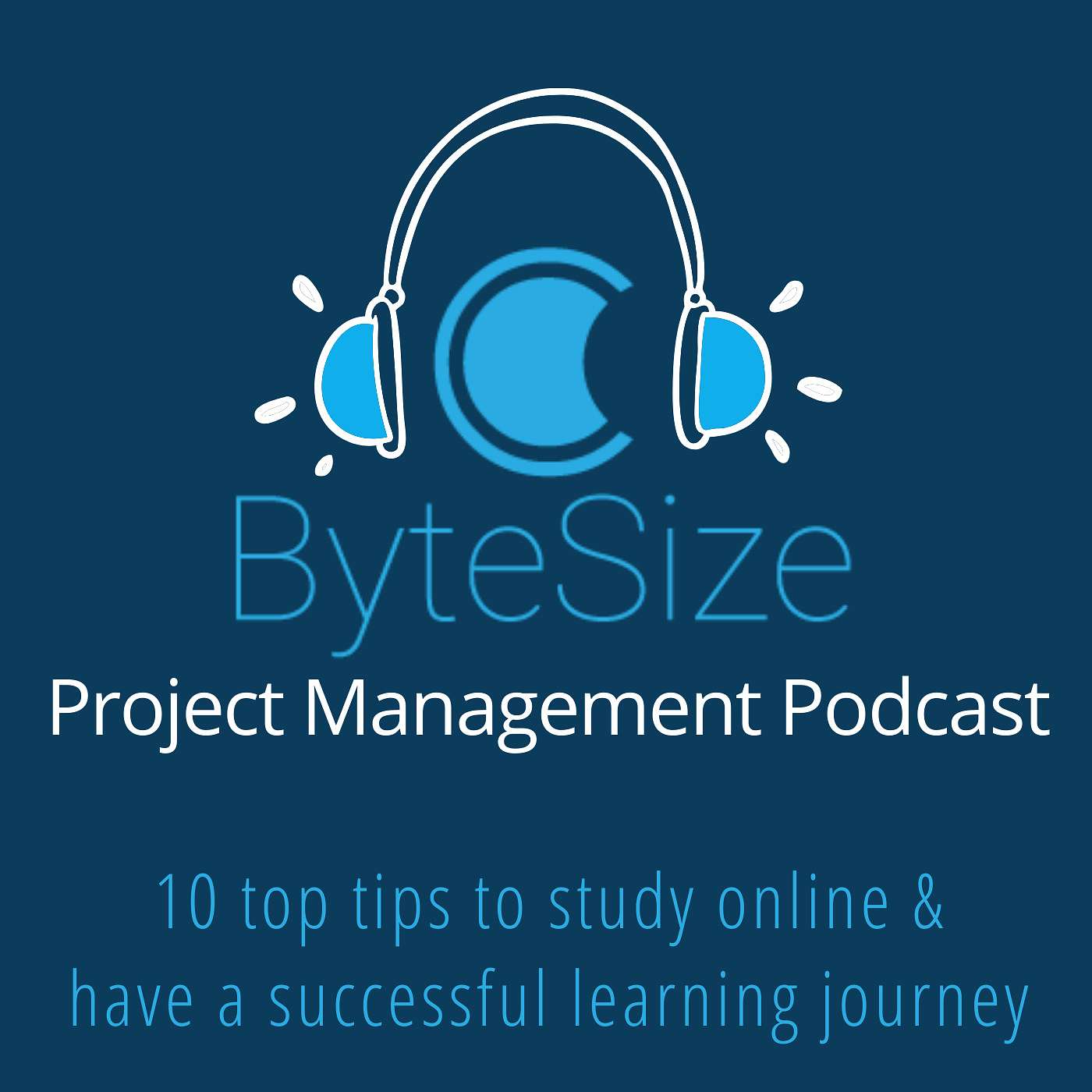 Training ByteSize Project Management - insights, interviews and expertise