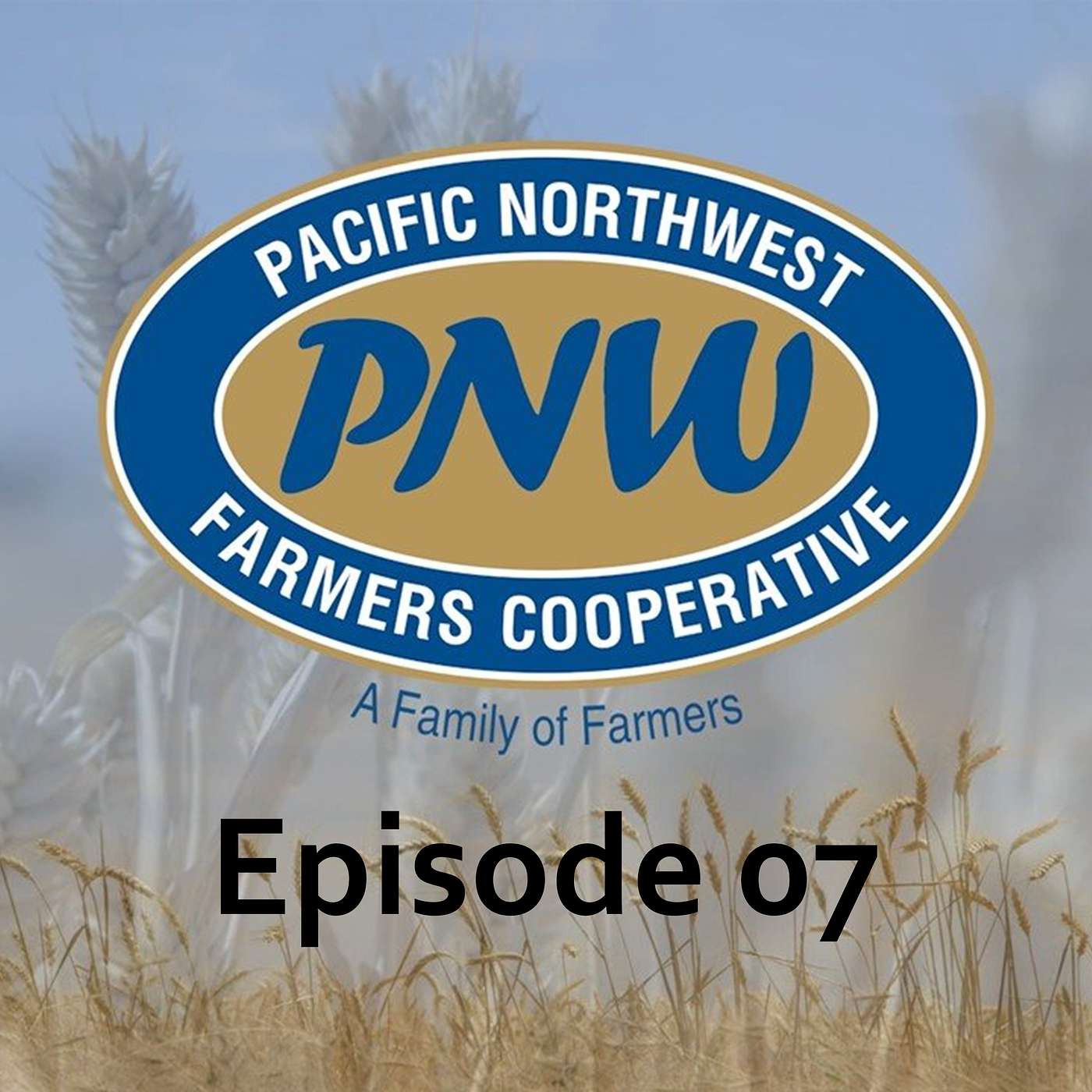 PNWFC Podcast - Episode 07 episode artwork