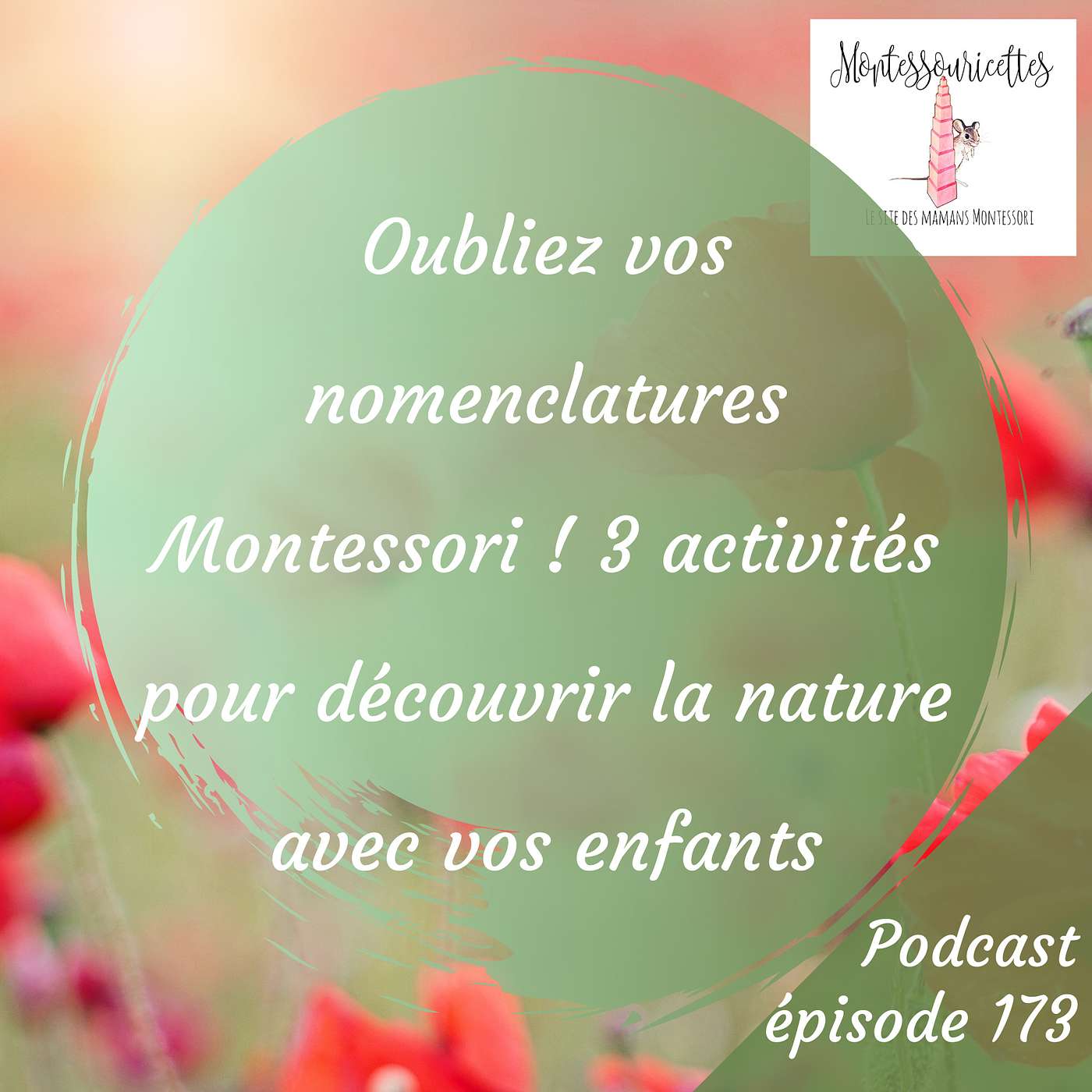 173. Oubliez vos nomenclatures Montessori ! 3 activités pour découvrir la nature avec vos enfants episode artwork