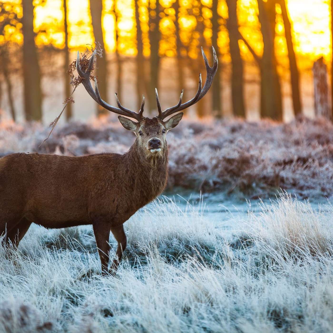 Canning with The Diva!™