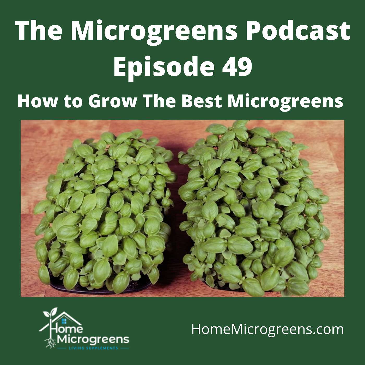 Growing the Best Microgreens: My Philosophy Growing the Best Microgreens: My Philosophy