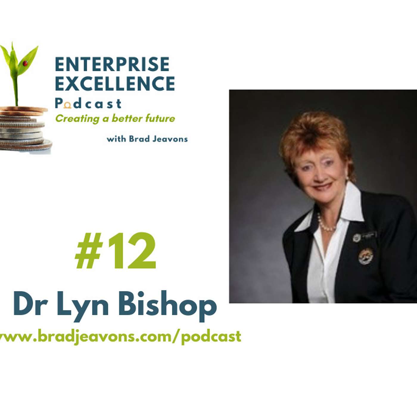 #12 A Journey into Educational Excellence with Dr Lyn Bishop episode artwork
