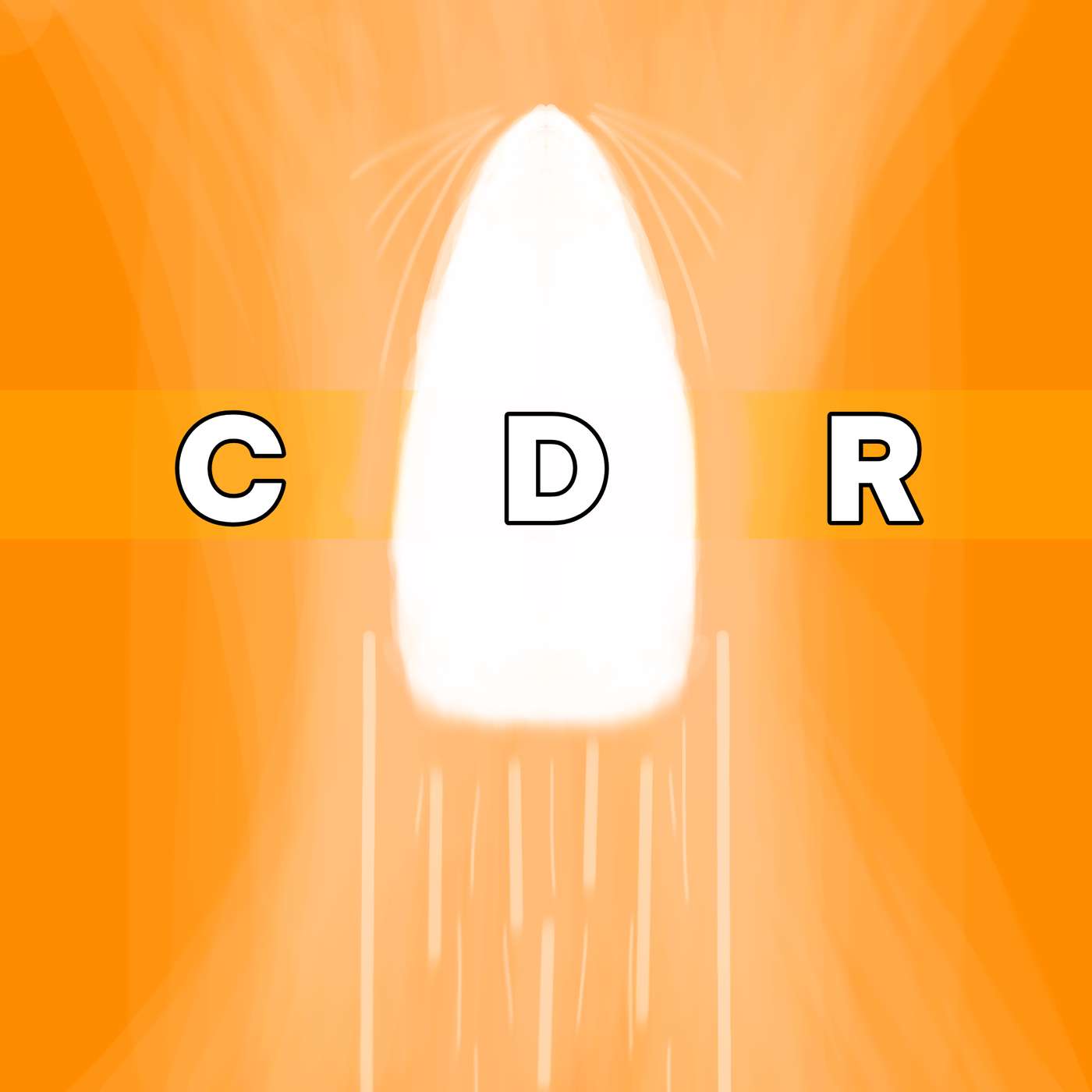 Casual Down Range cover art