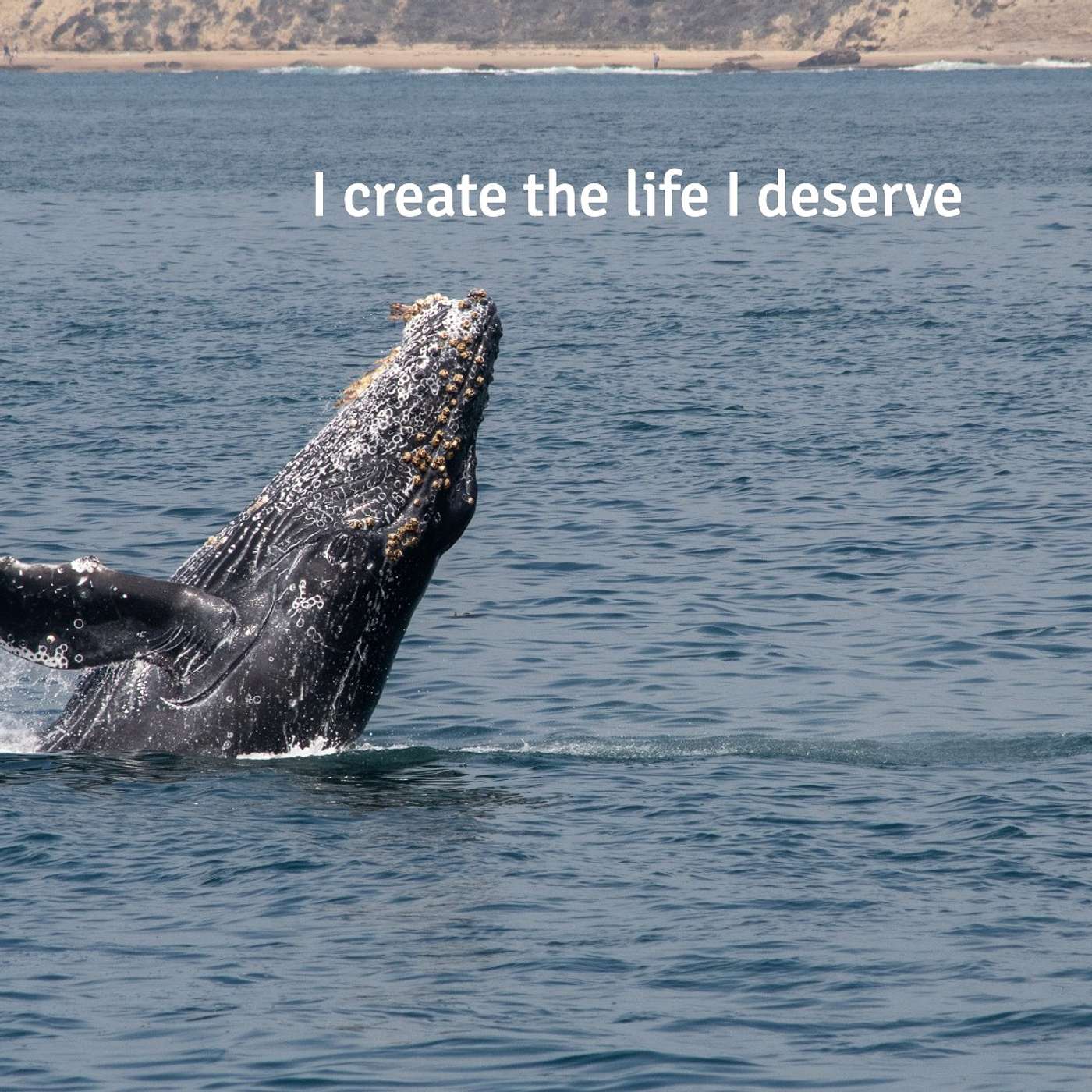 #296 I create the life I deserve episode artwork