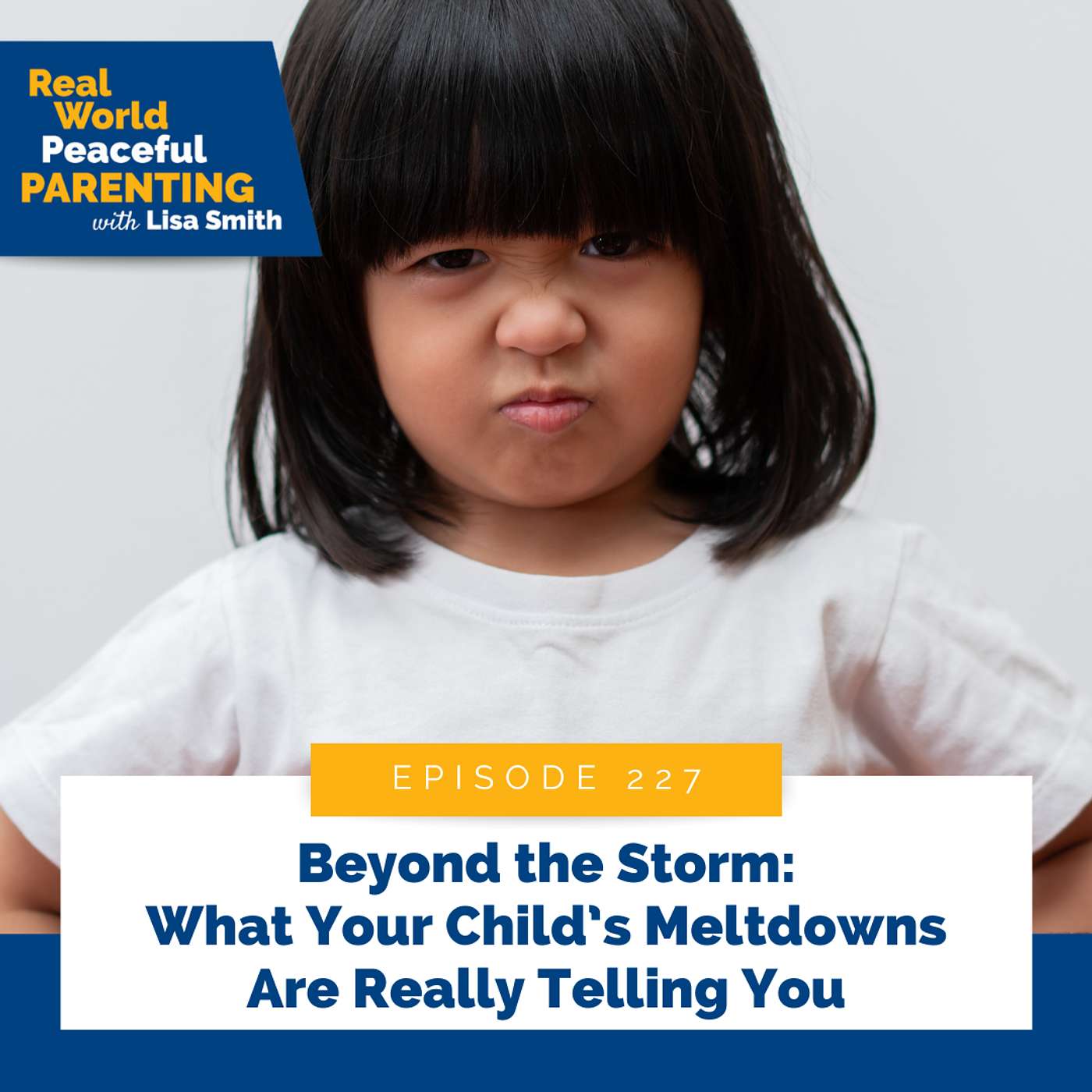 227: Beyond the Storm: What Your Child's Meltdowns Are Really Telling You