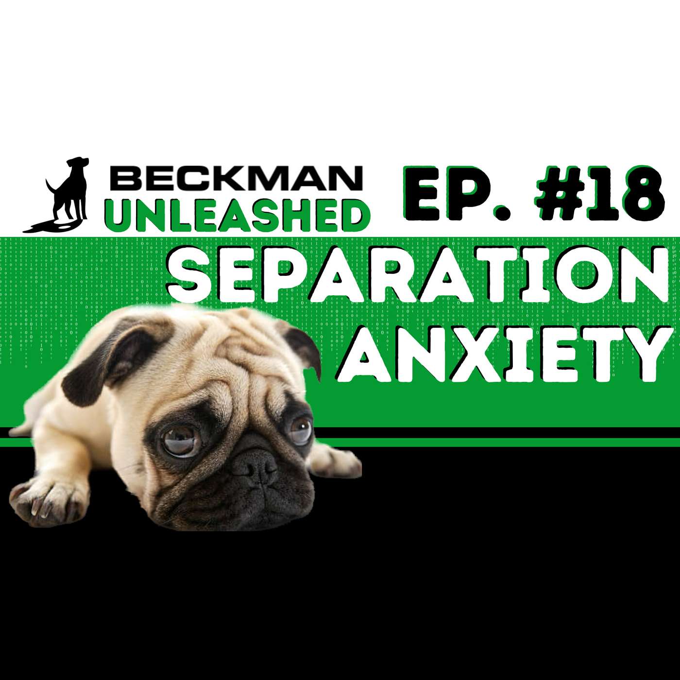 Beckman Unleashed