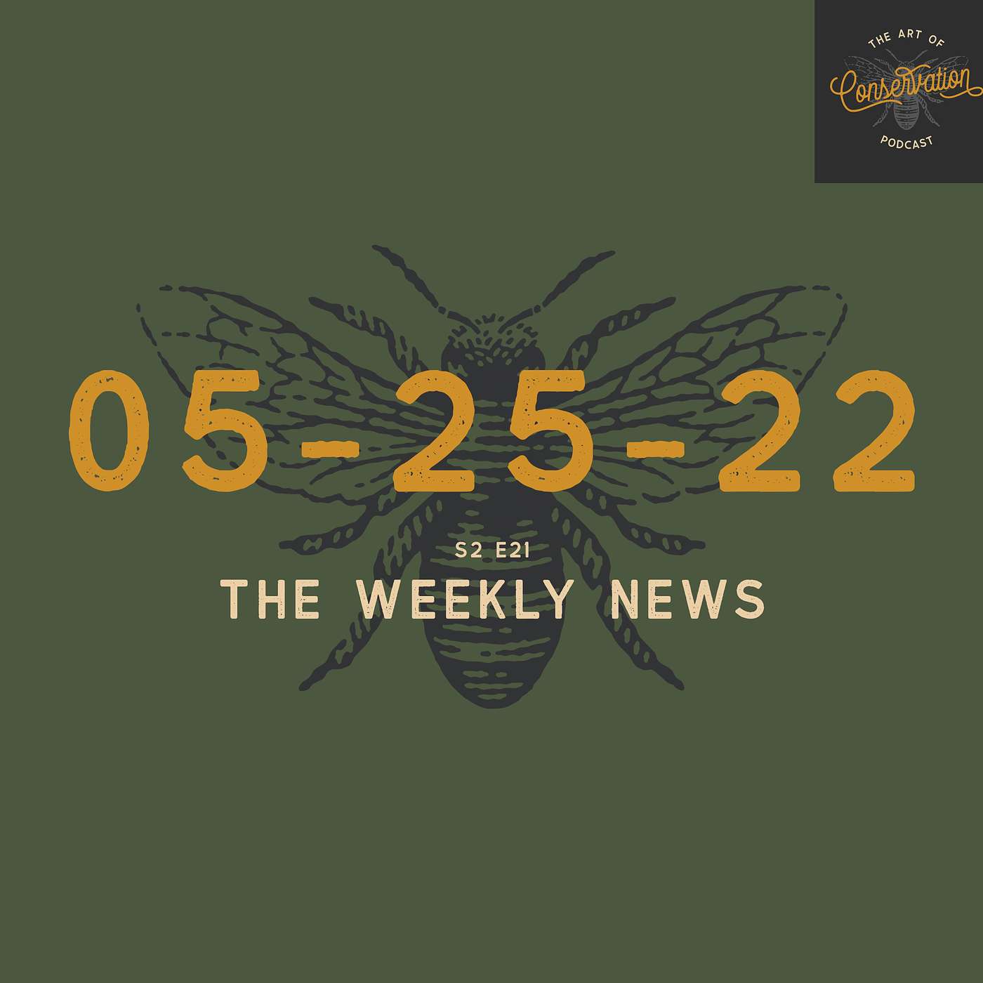 S2 E21 - The Weekly News 05-25-2022 with Shannon Elizabeth, Peter Borchert & Simon Borchert