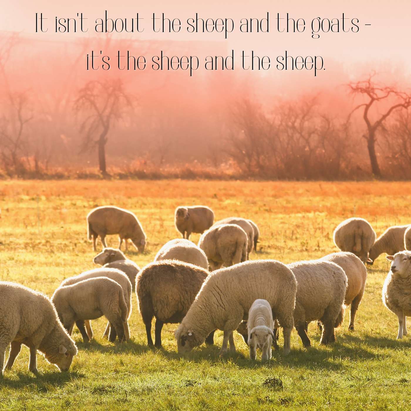 Tea, Toast, and Theology - All things Nourishing