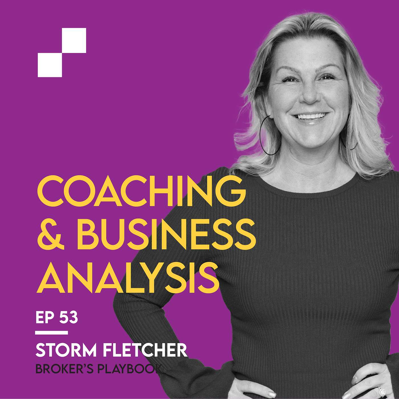 Ep 53: Coaching & Business Analysis w/ Storm Fletcher | Broker's Playbook