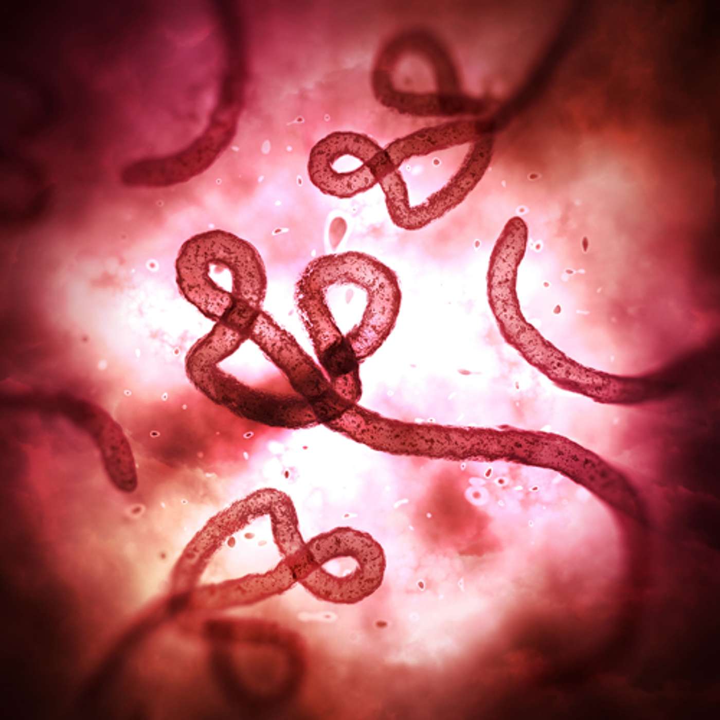 Episode 114: Ebola & other infectious diseases