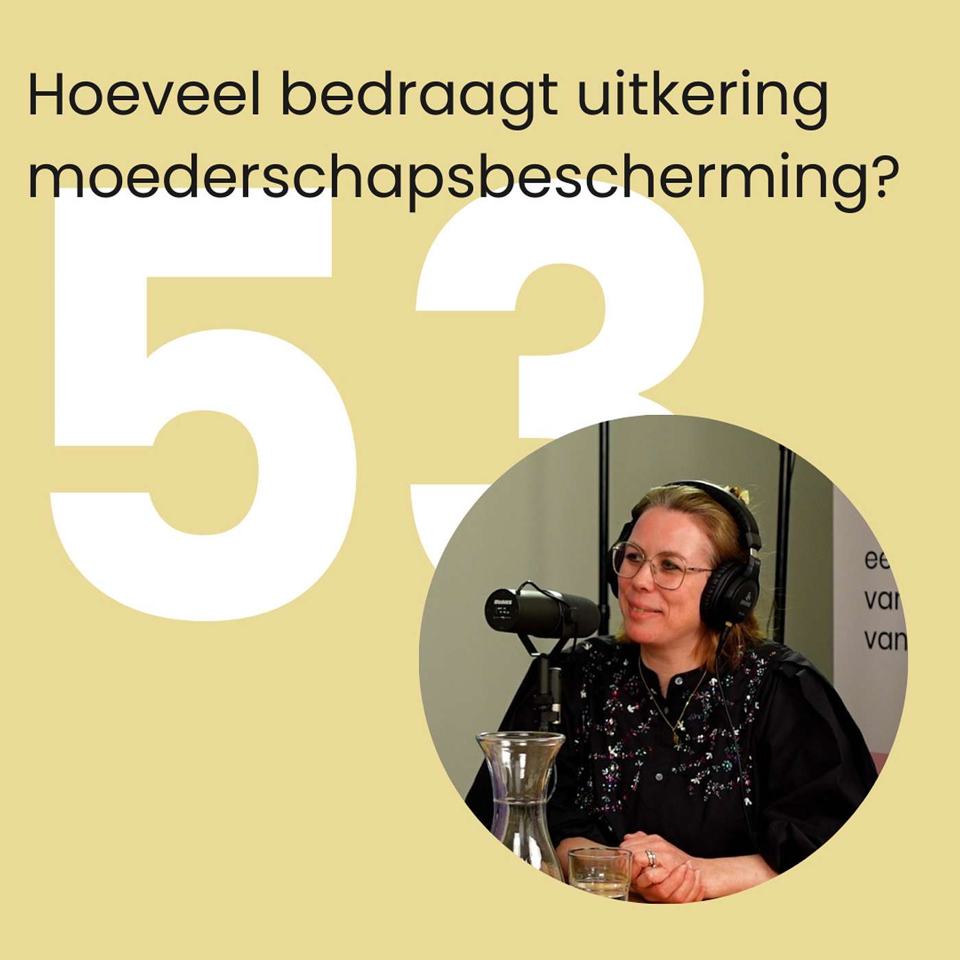 #53 Hoeveel bedraagt uitkering moederschapsbescherming? - Wellbeing