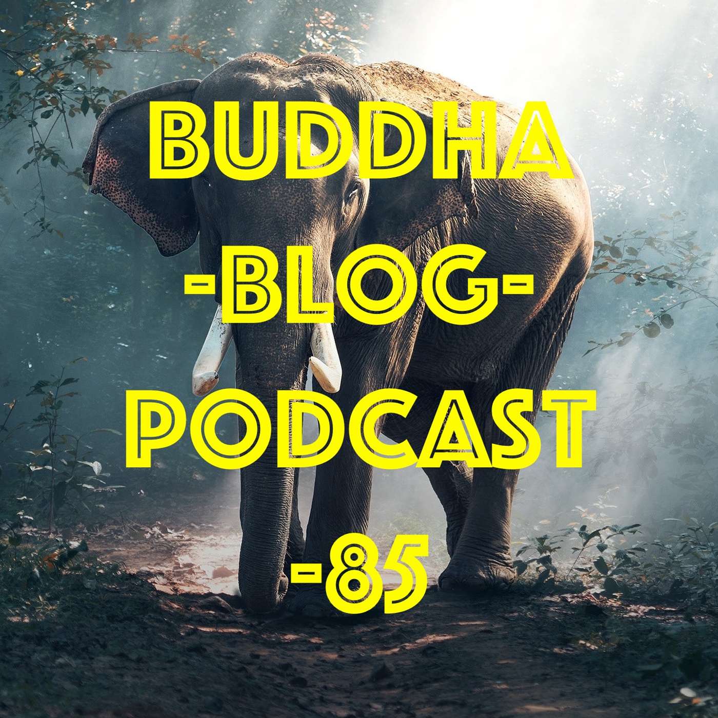 Buddha Blog - Buddhismus im Alltag